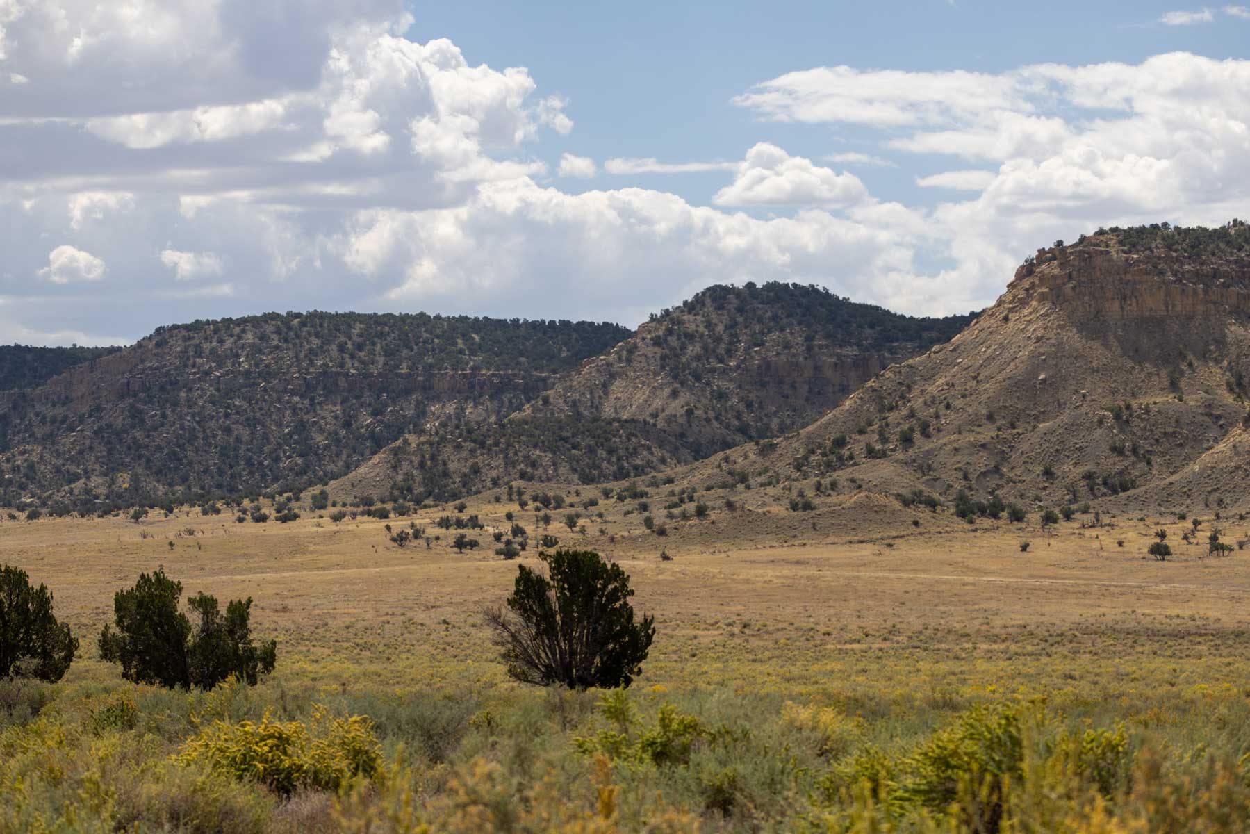 Atarque Ranch property picture 11 of 131