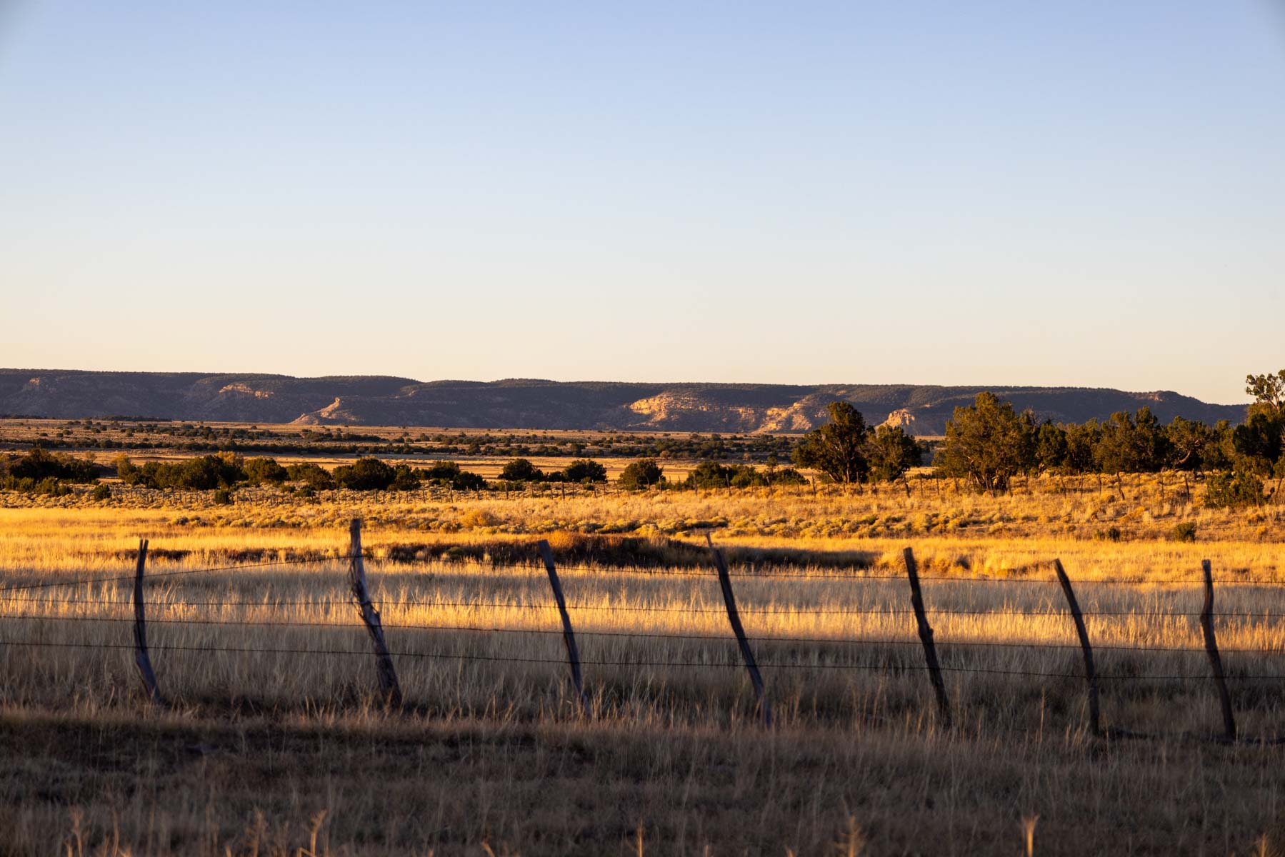 Atarque Ranch property picture 40 of 131