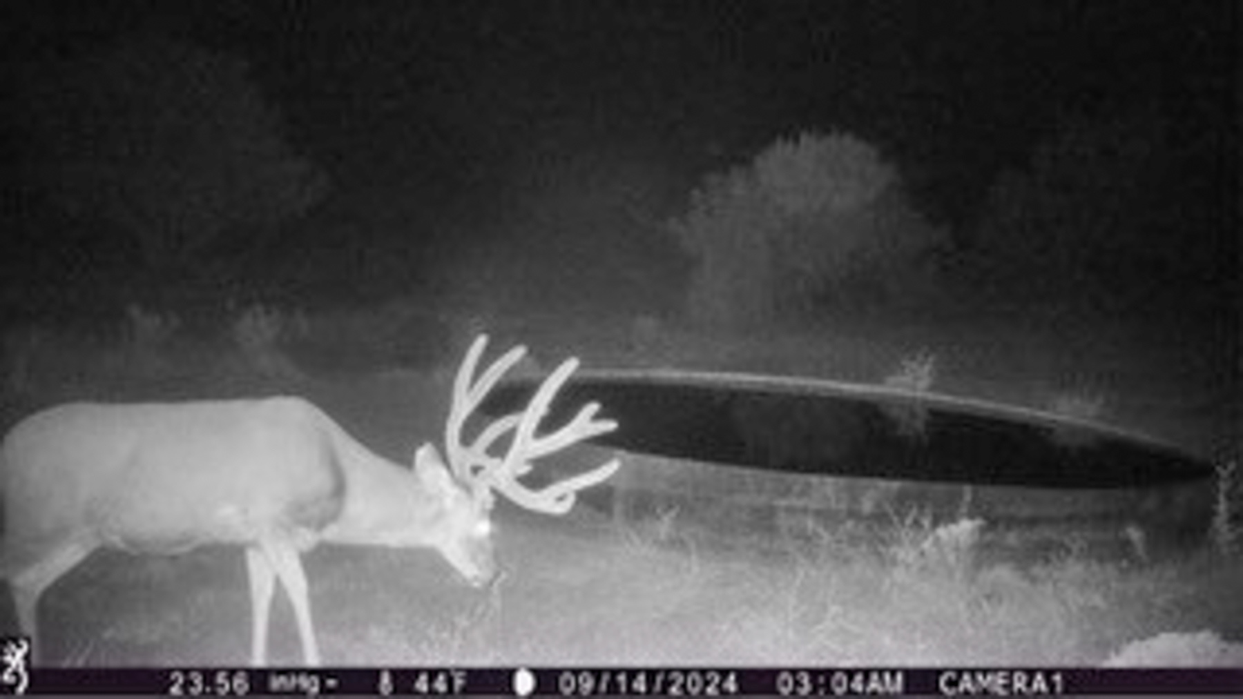 Atarque Ranch property picture 107 of 131