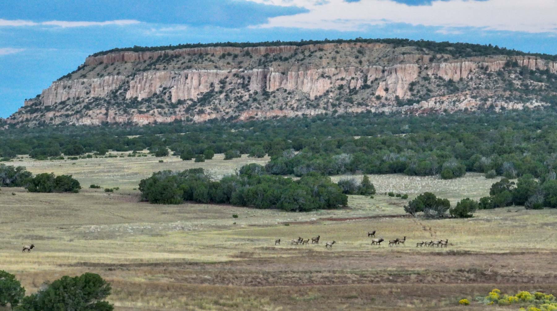 Atarque Ranch property picture 96 of 131