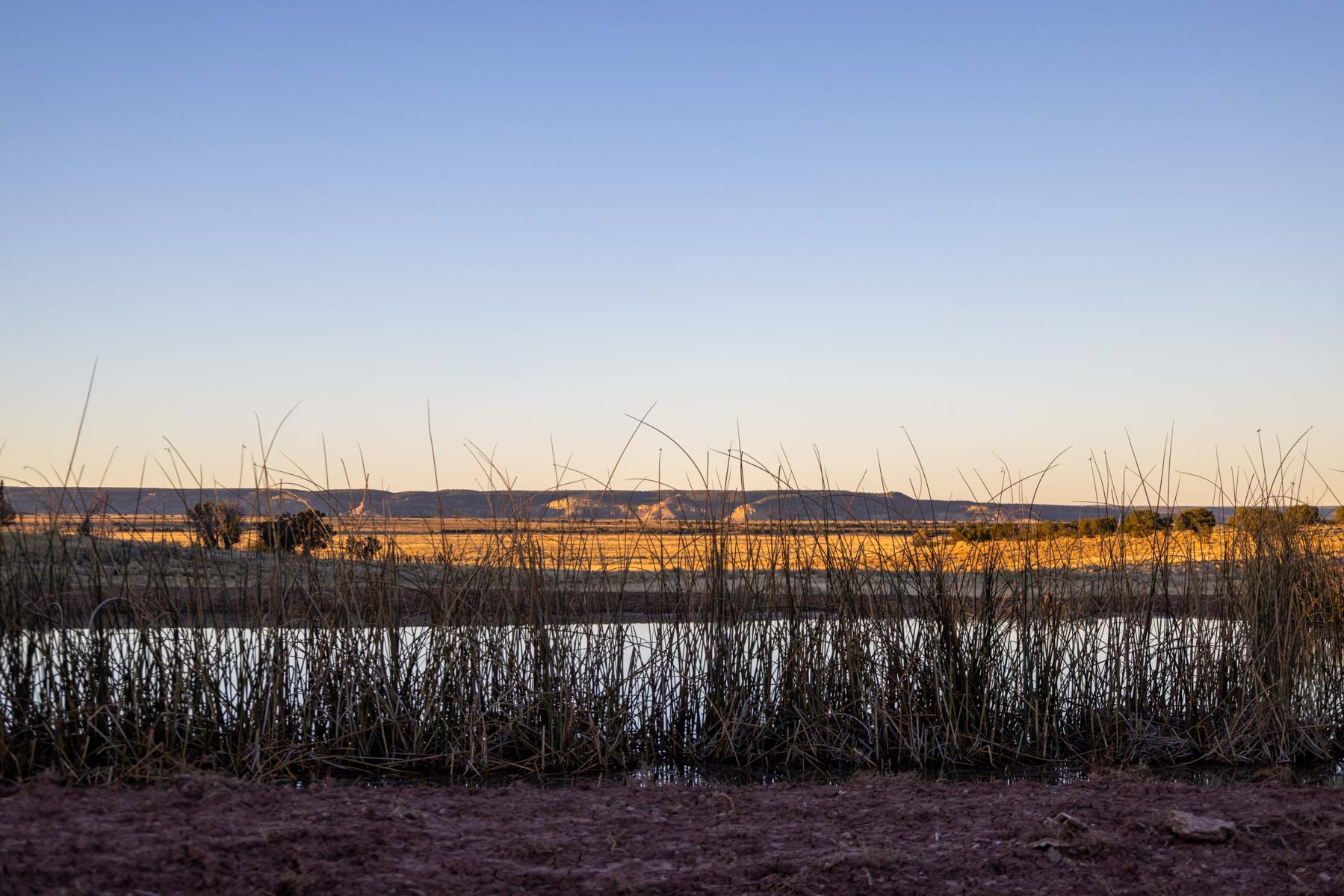 Atarque Ranch property picture 39 of 131