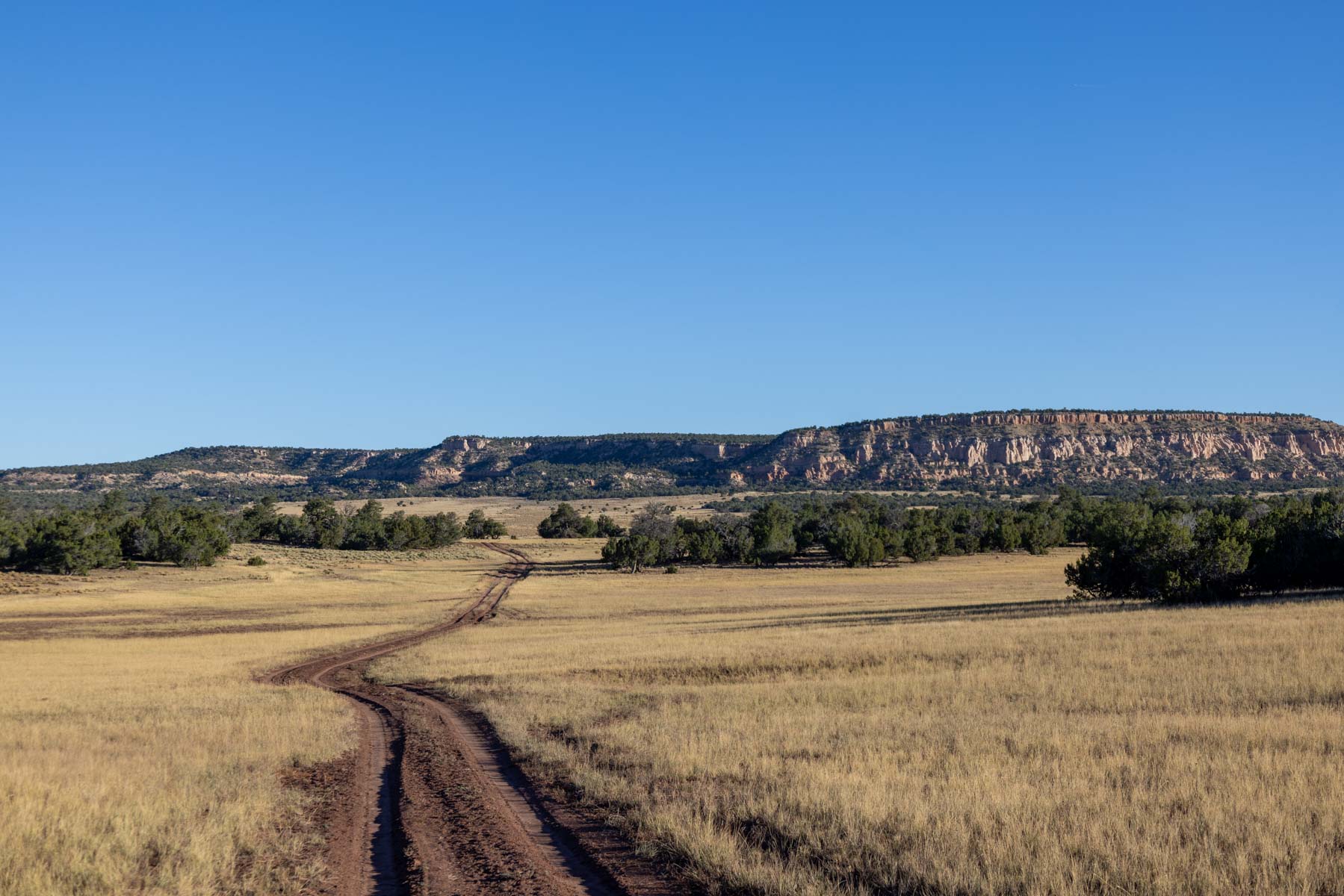 Atarque Ranch property picture 68 of 131