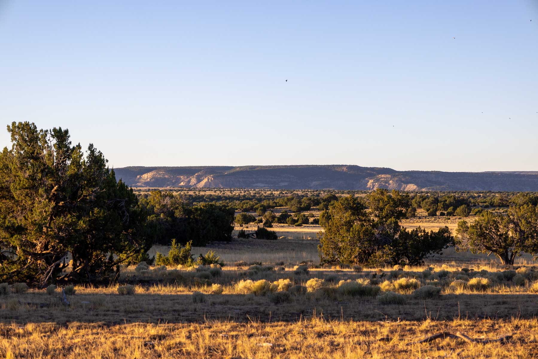 Atarque Ranch property picture 41 of 131