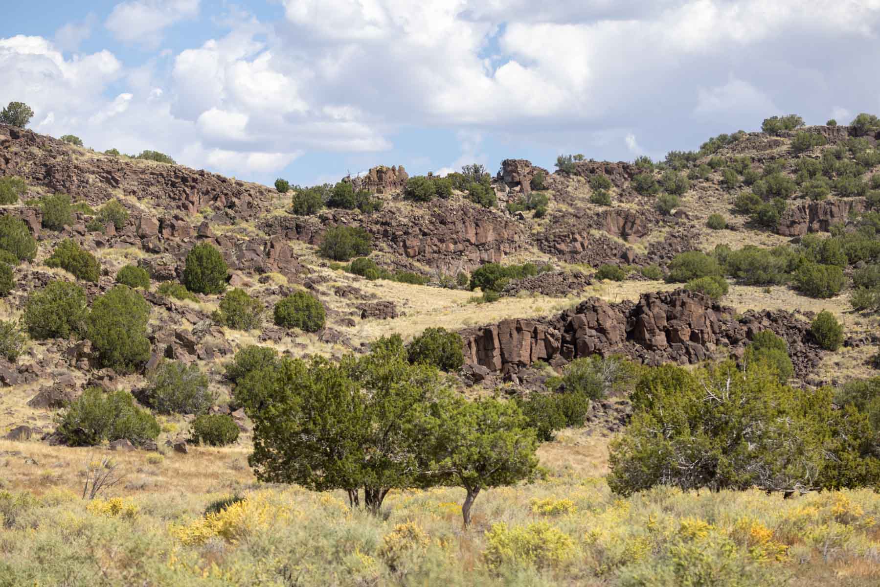 Atarque Ranch property picture 51 of 131