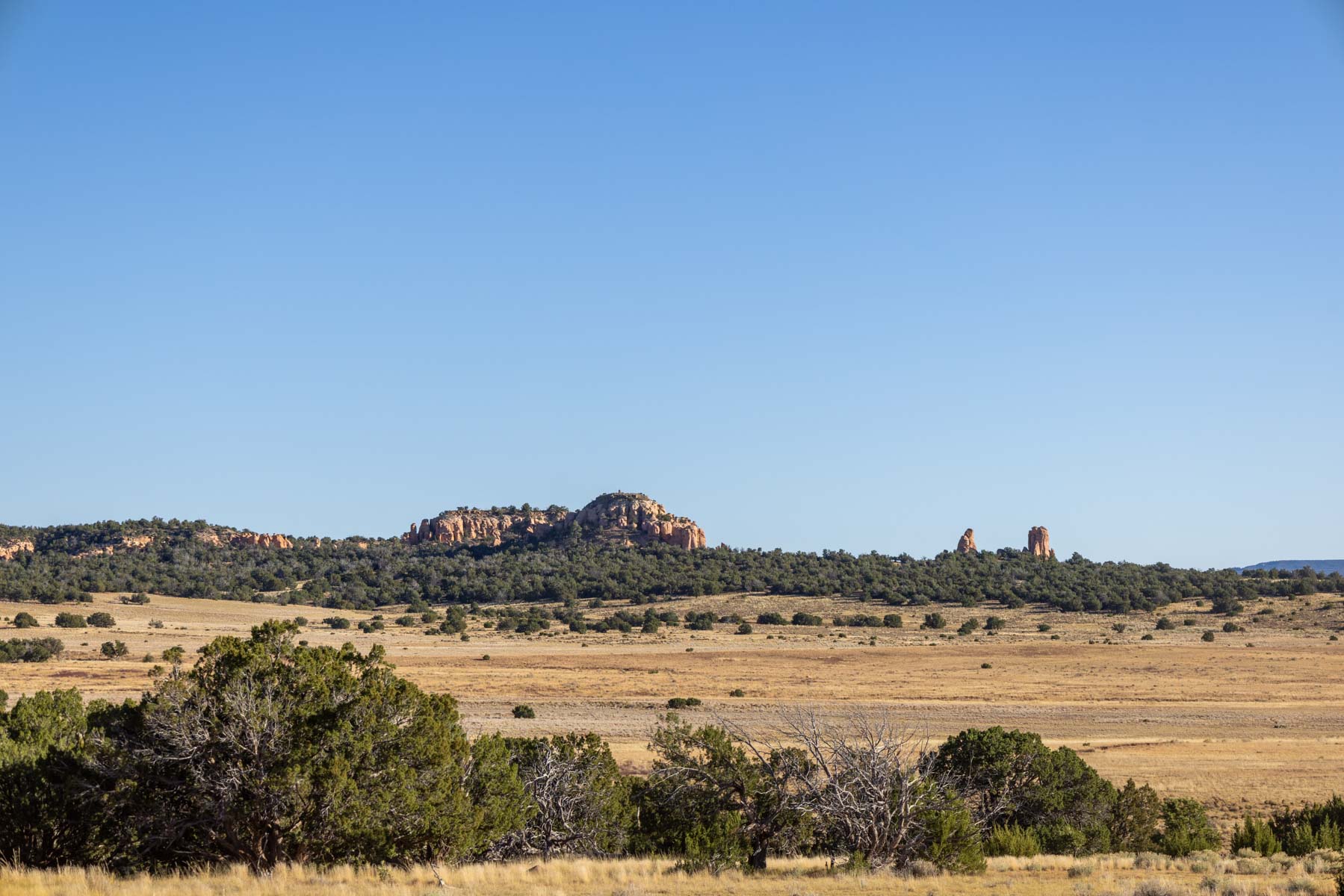 Atarque Ranch property picture 32 of 131