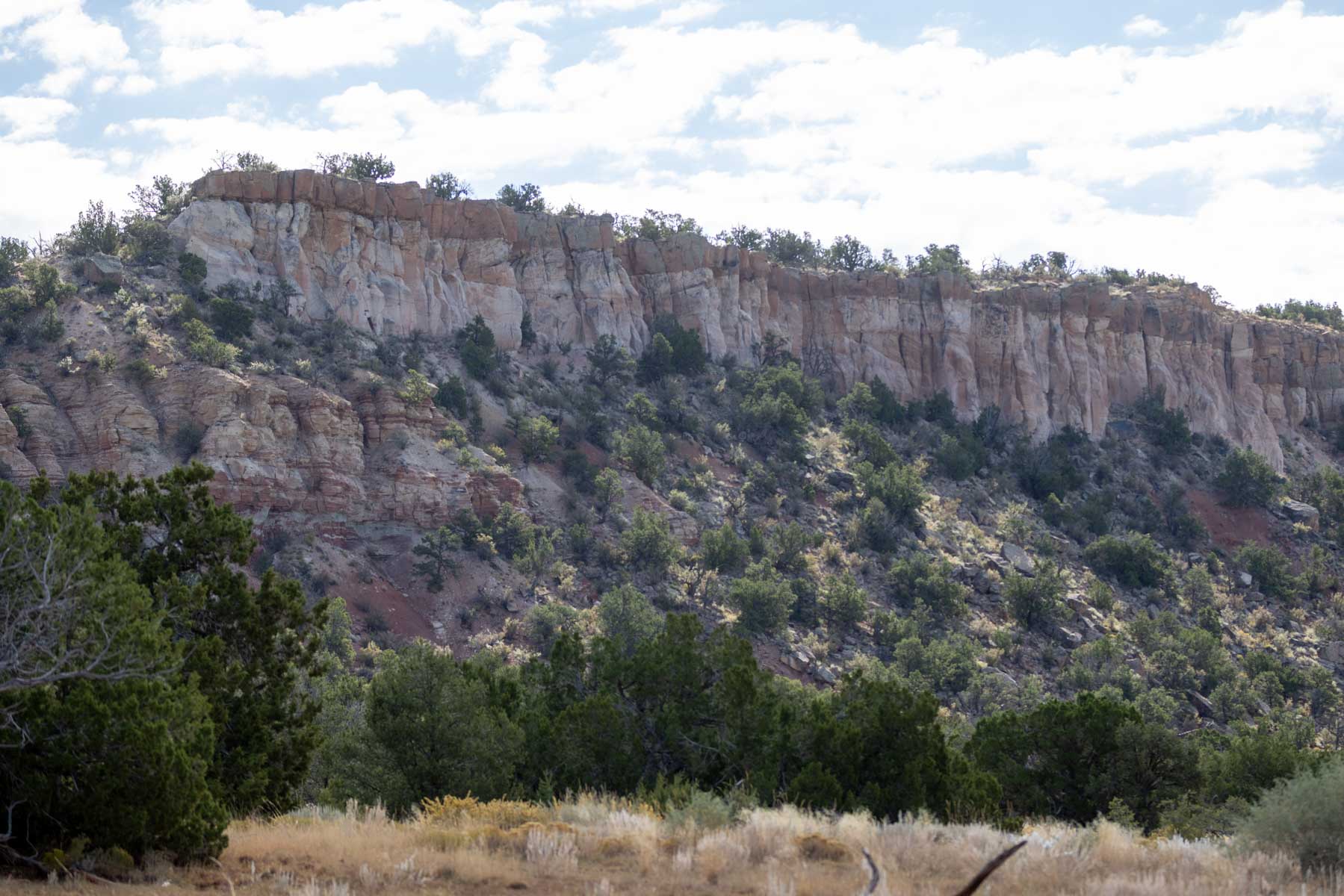 Atarque Ranch property picture 87 of 131
