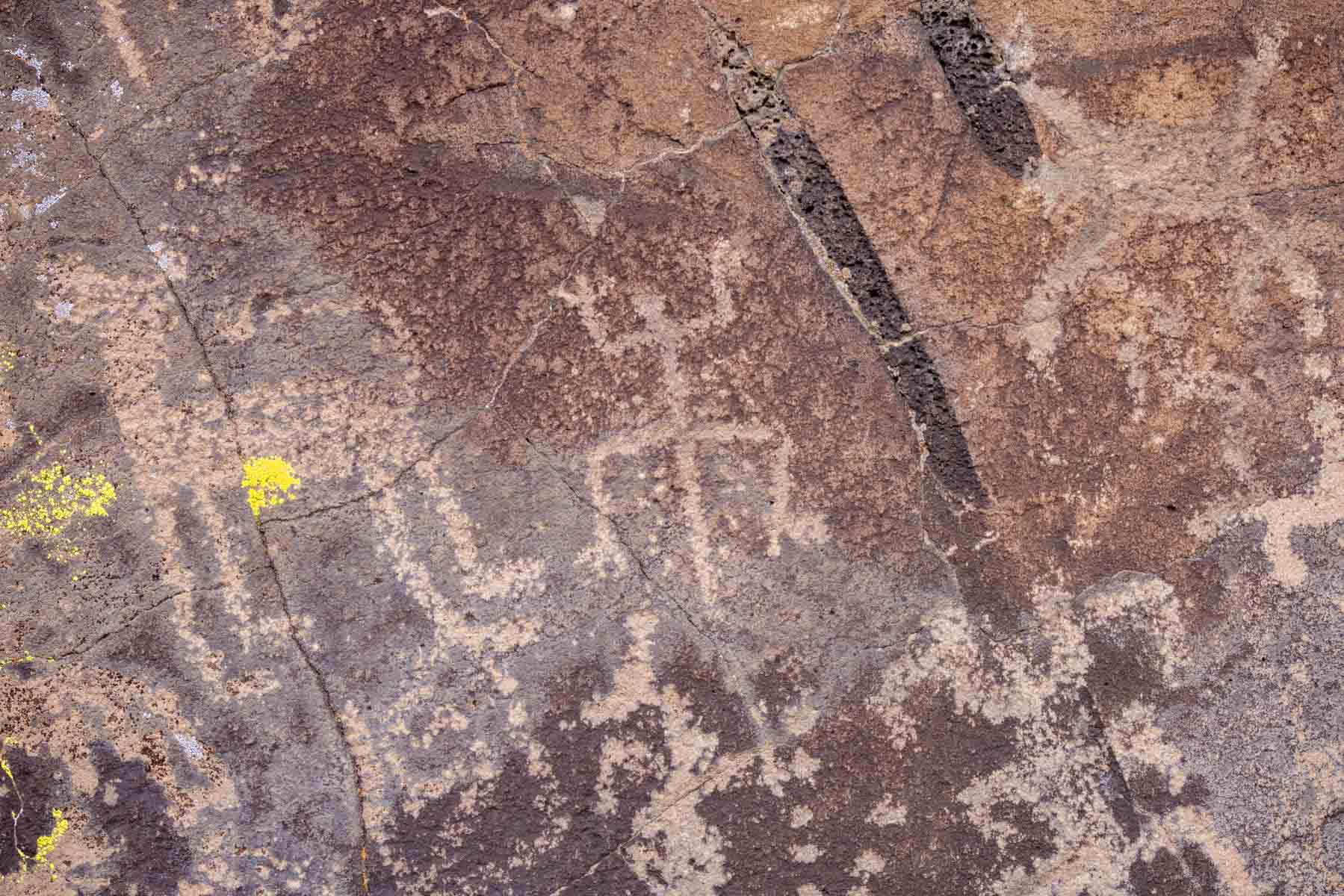 Atarque Ranch property picture 16 of 131