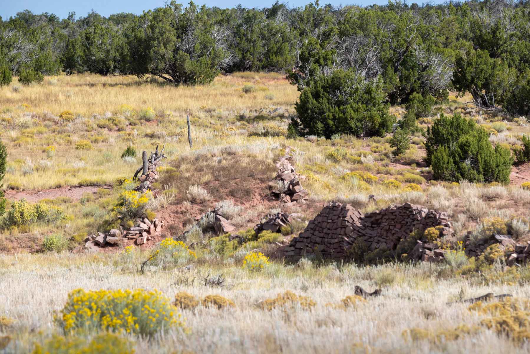 Atarque Ranch property picture 89 of 131
