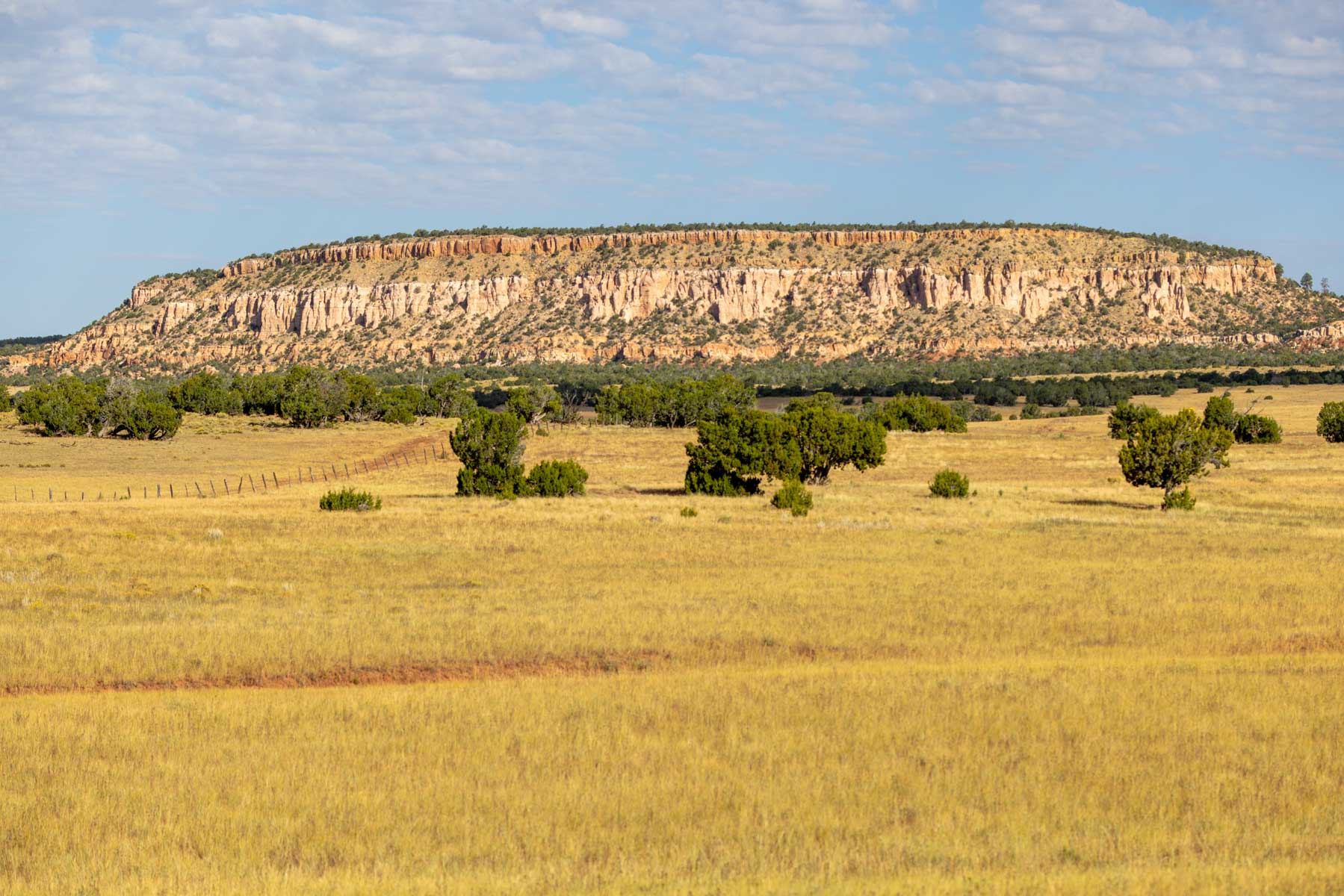 Atarque Ranch property picture 67 of 131