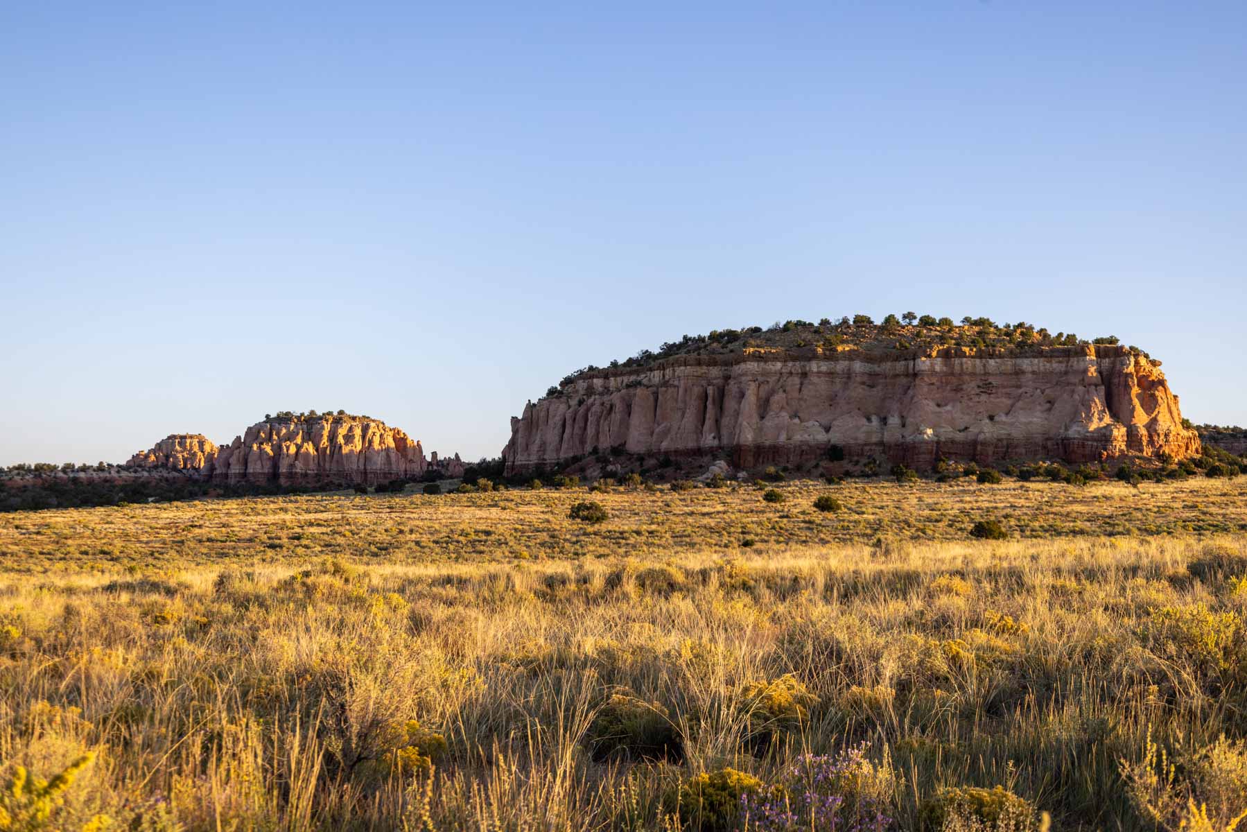 Atarque Ranch property picture 10 of 131