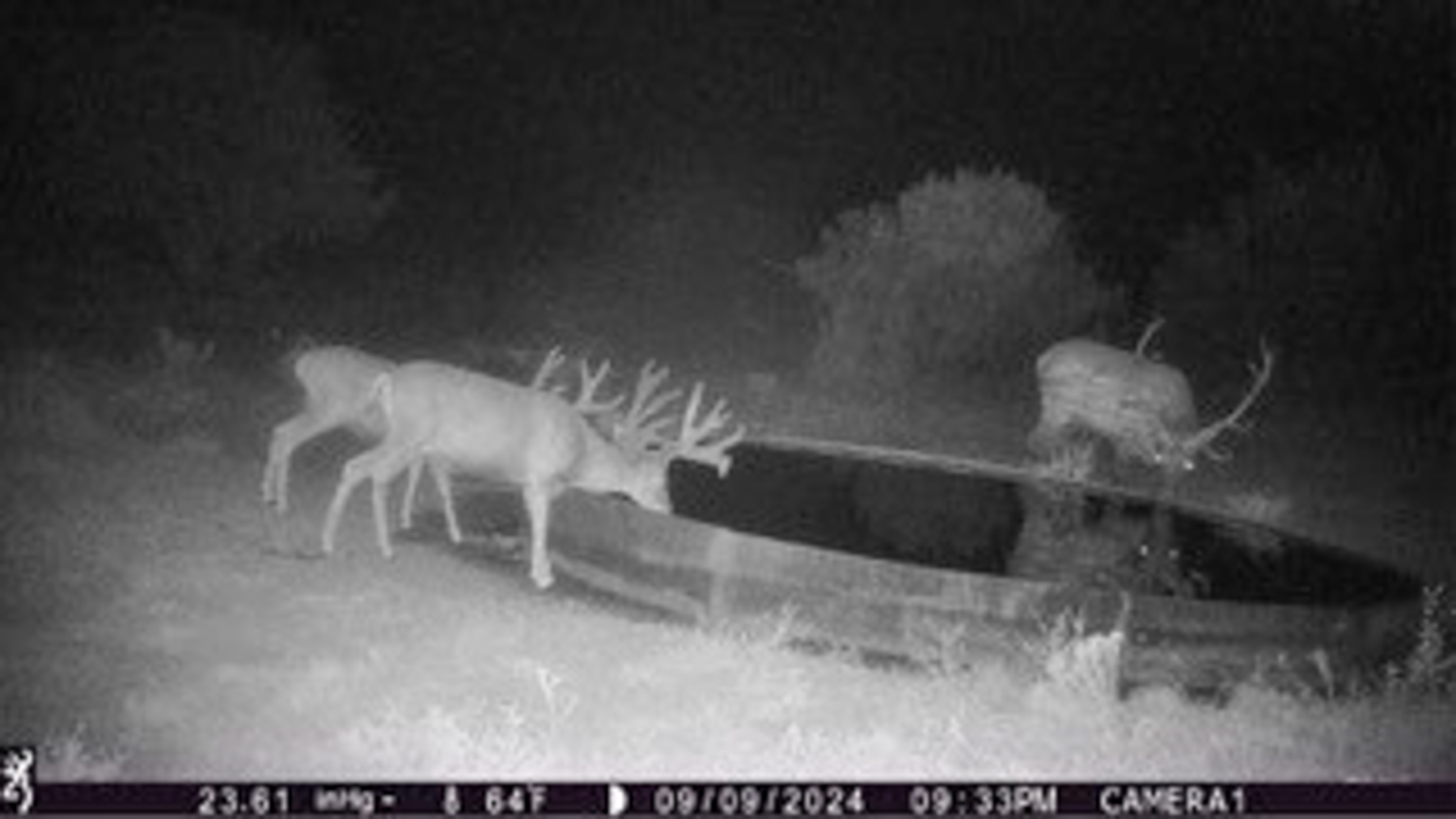 Atarque Ranch property picture 109 of 131