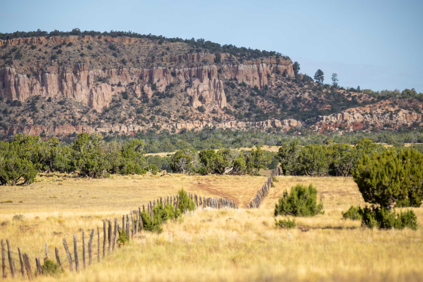 Atarque Ranch property picture 48 of 131