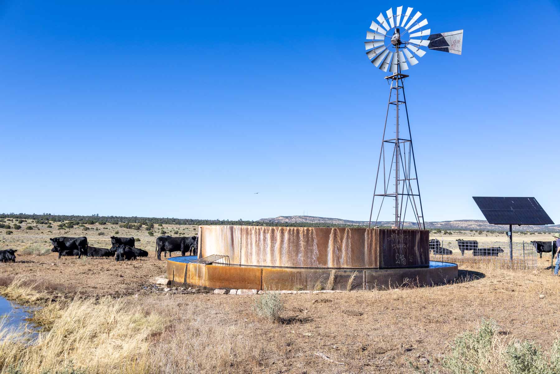 Atarque Ranch property picture 69 of 131