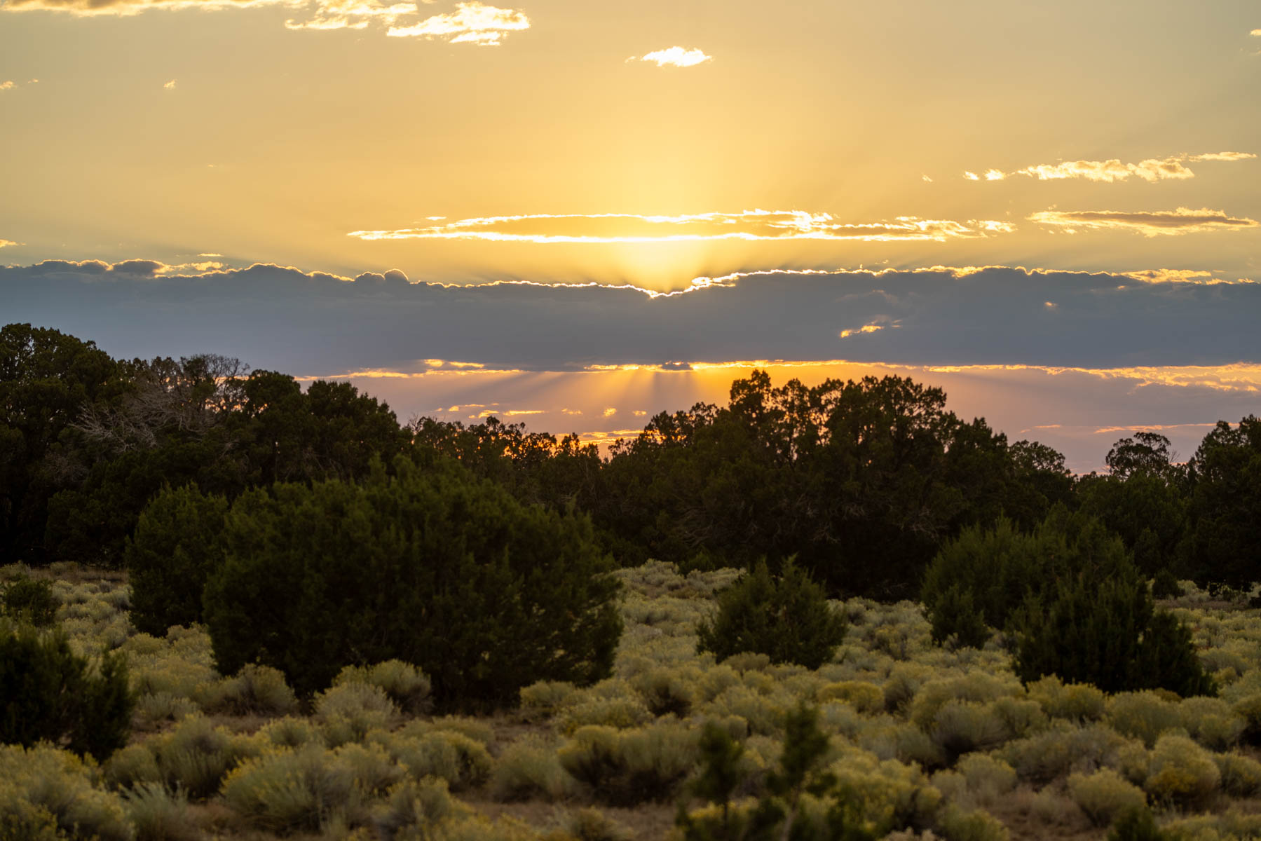 Atarque Ranch property picture 18 of 131