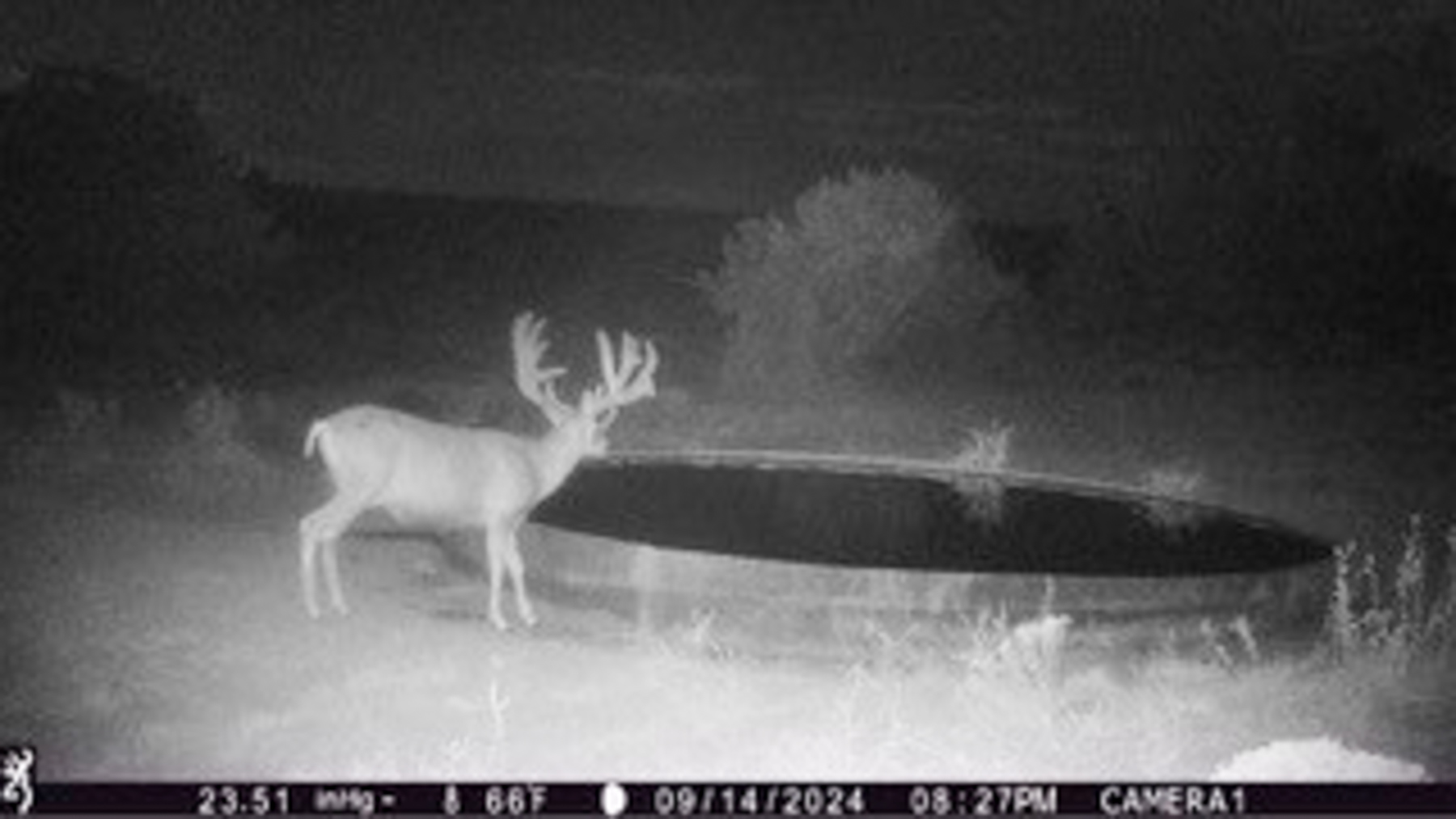 Atarque Ranch property picture 106 of 131