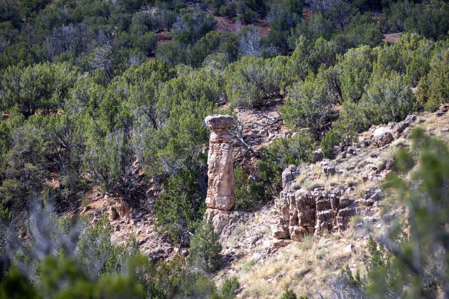 Atarque Ranch property picture 90 of 131