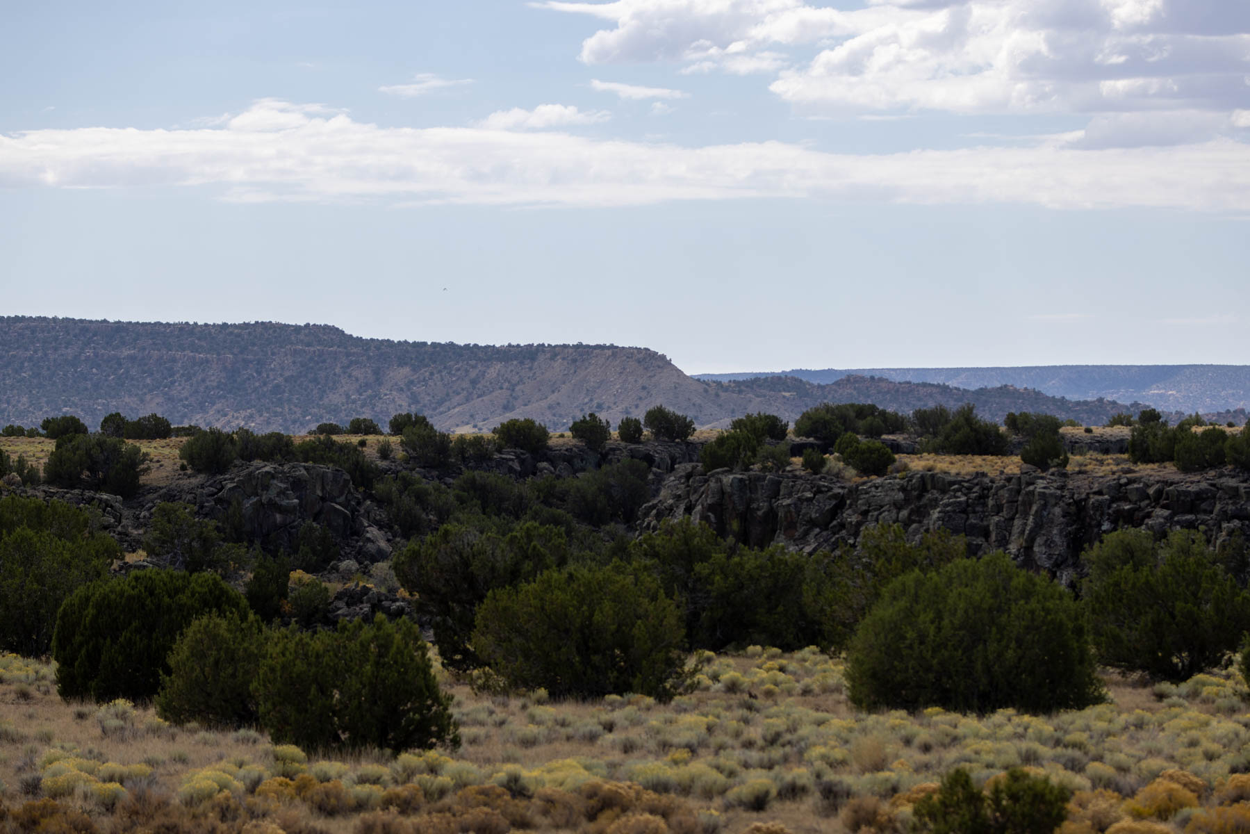 Atarque Ranch property picture 50 of 131