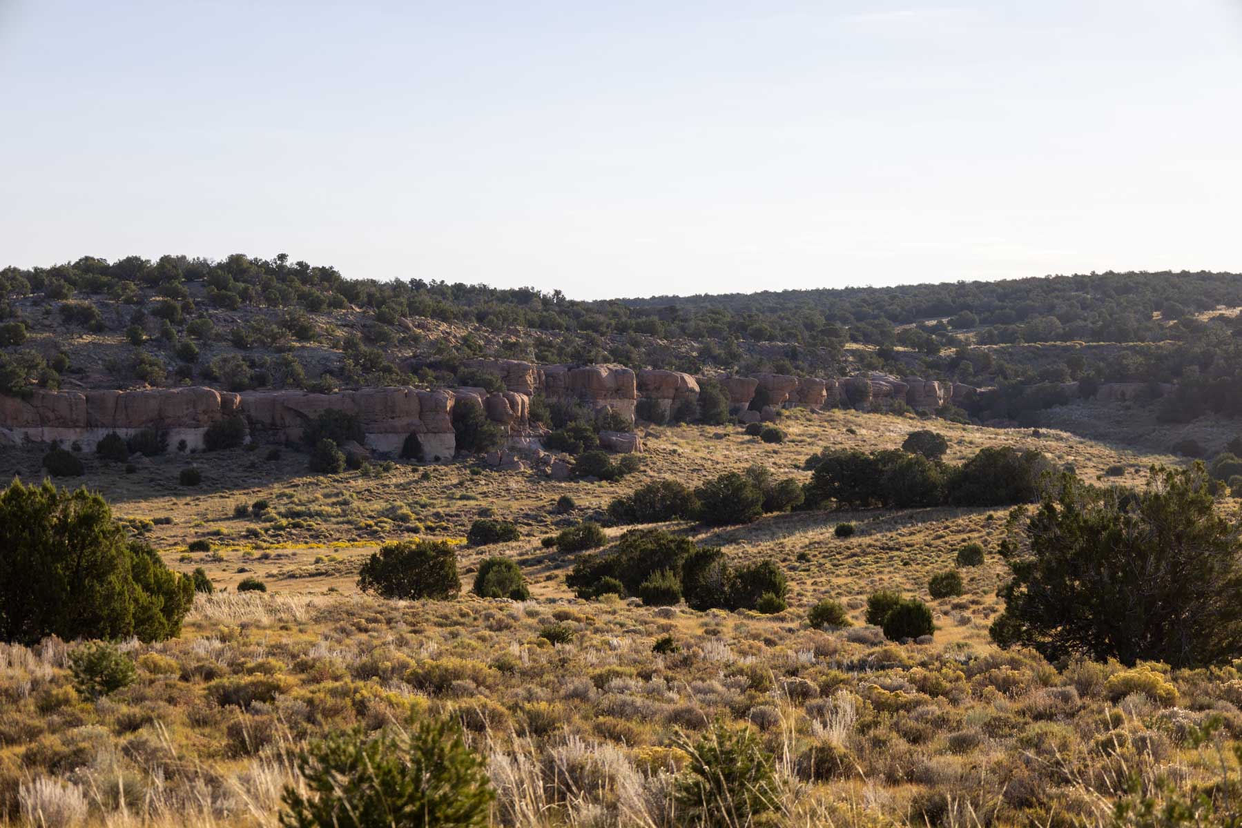 Atarque Ranch property picture 83 of 131