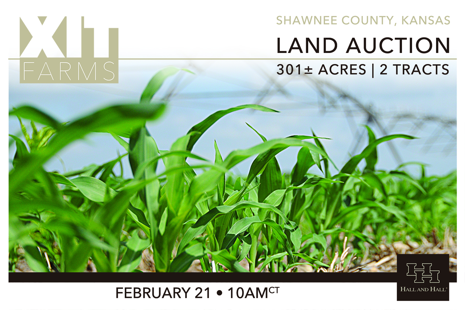 XIT Farms property picture 2 of 28
