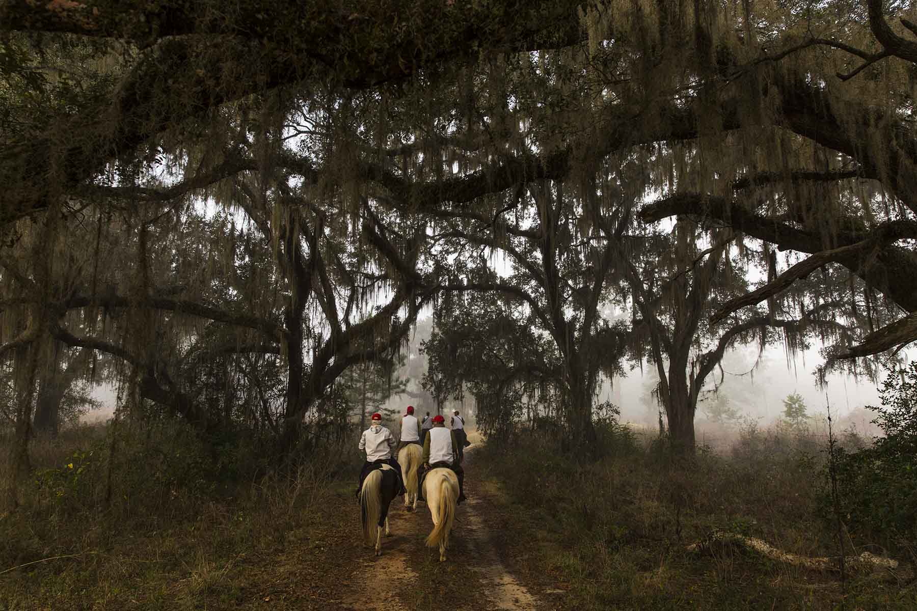 Loveridge Plantation property picture 3 of 107