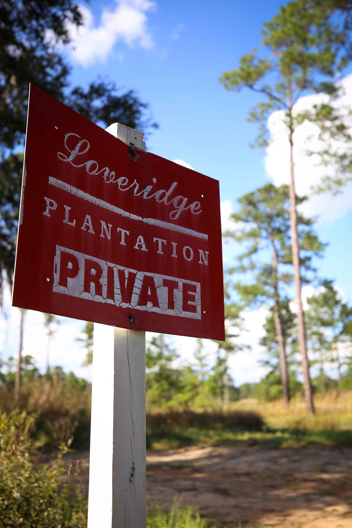 Loveridge Plantation property picture 87 of 107