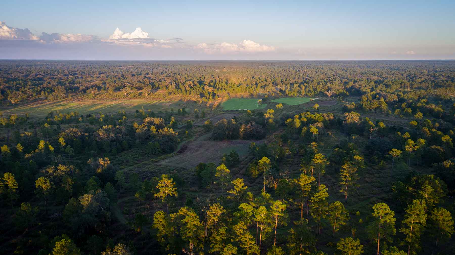 Loveridge Plantation property picture 26 of 107