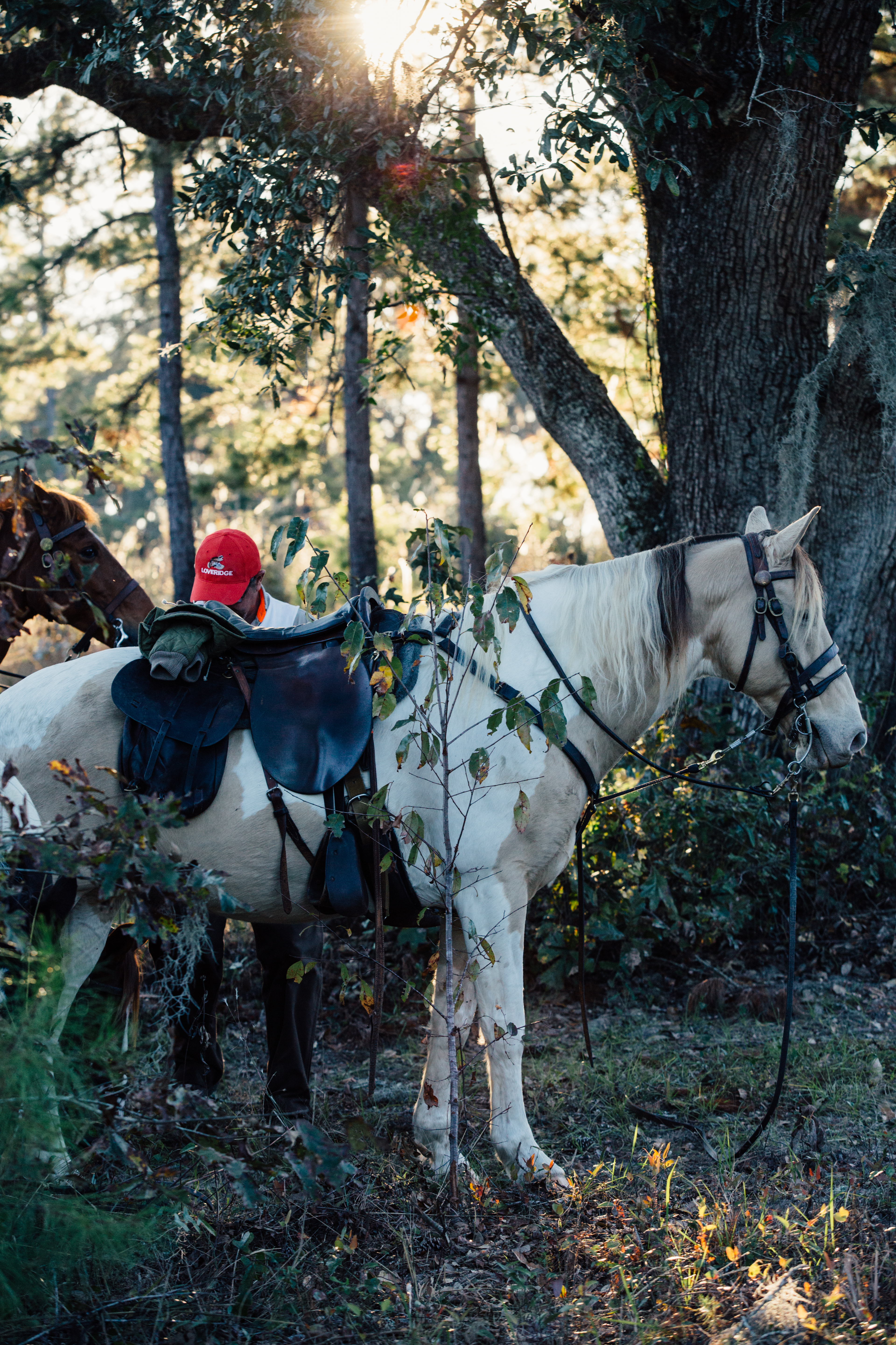 Loveridge Plantation property picture 24 of 107