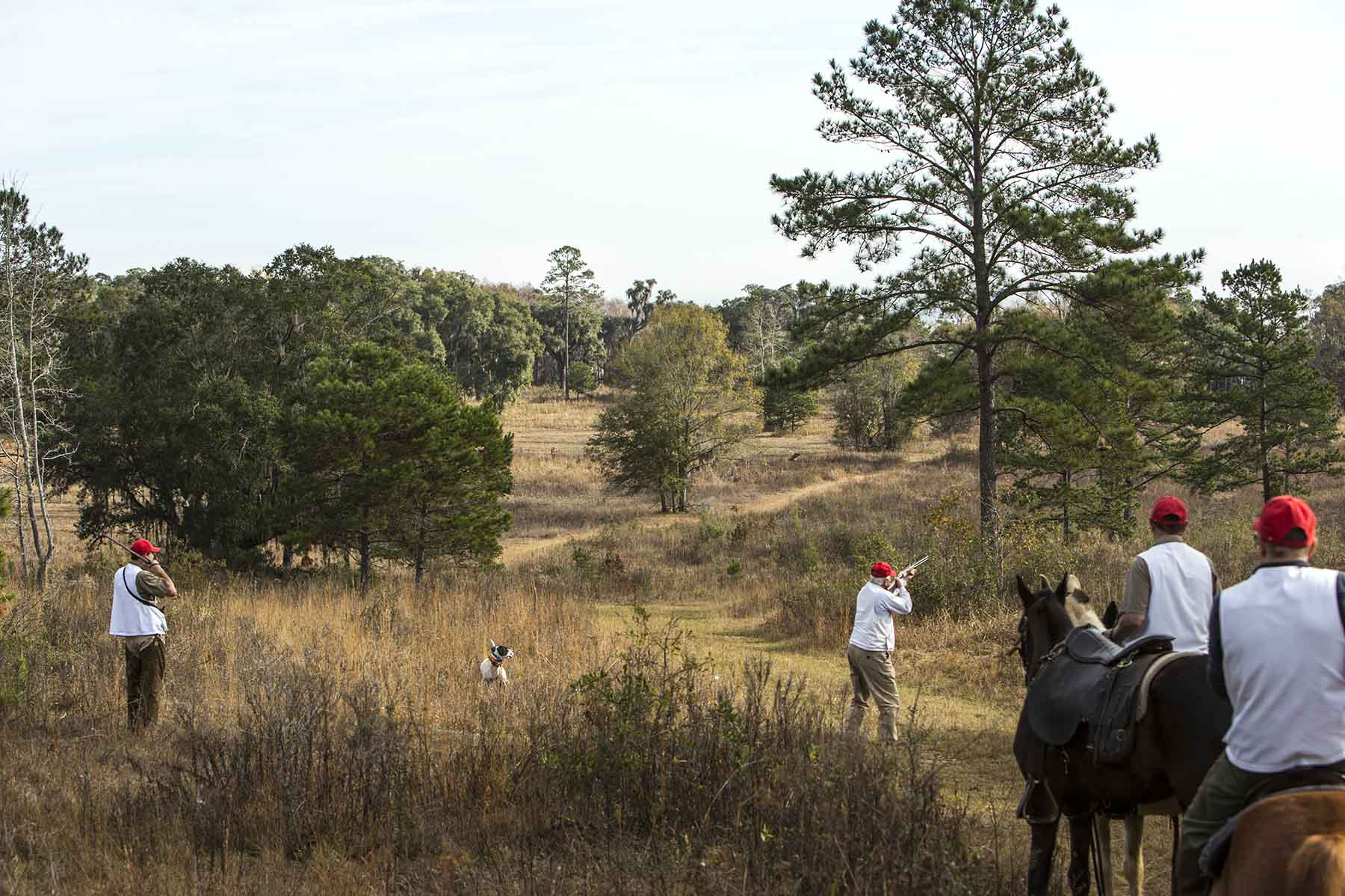 Loveridge Plantation property picture 7 of 107