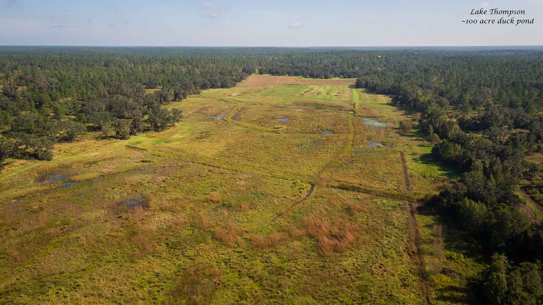 Loveridge Plantation property picture 8 of 107