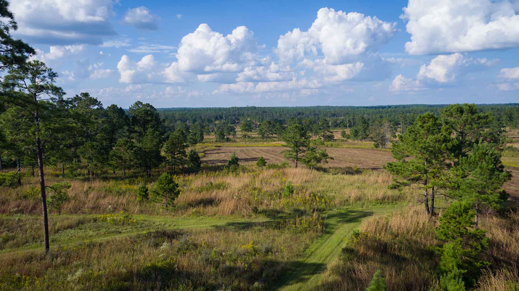 Loveridge Plantation property picture 99 of 107