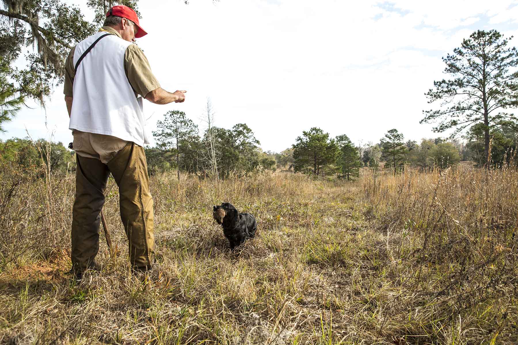 Loveridge Plantation property picture 93 of 107