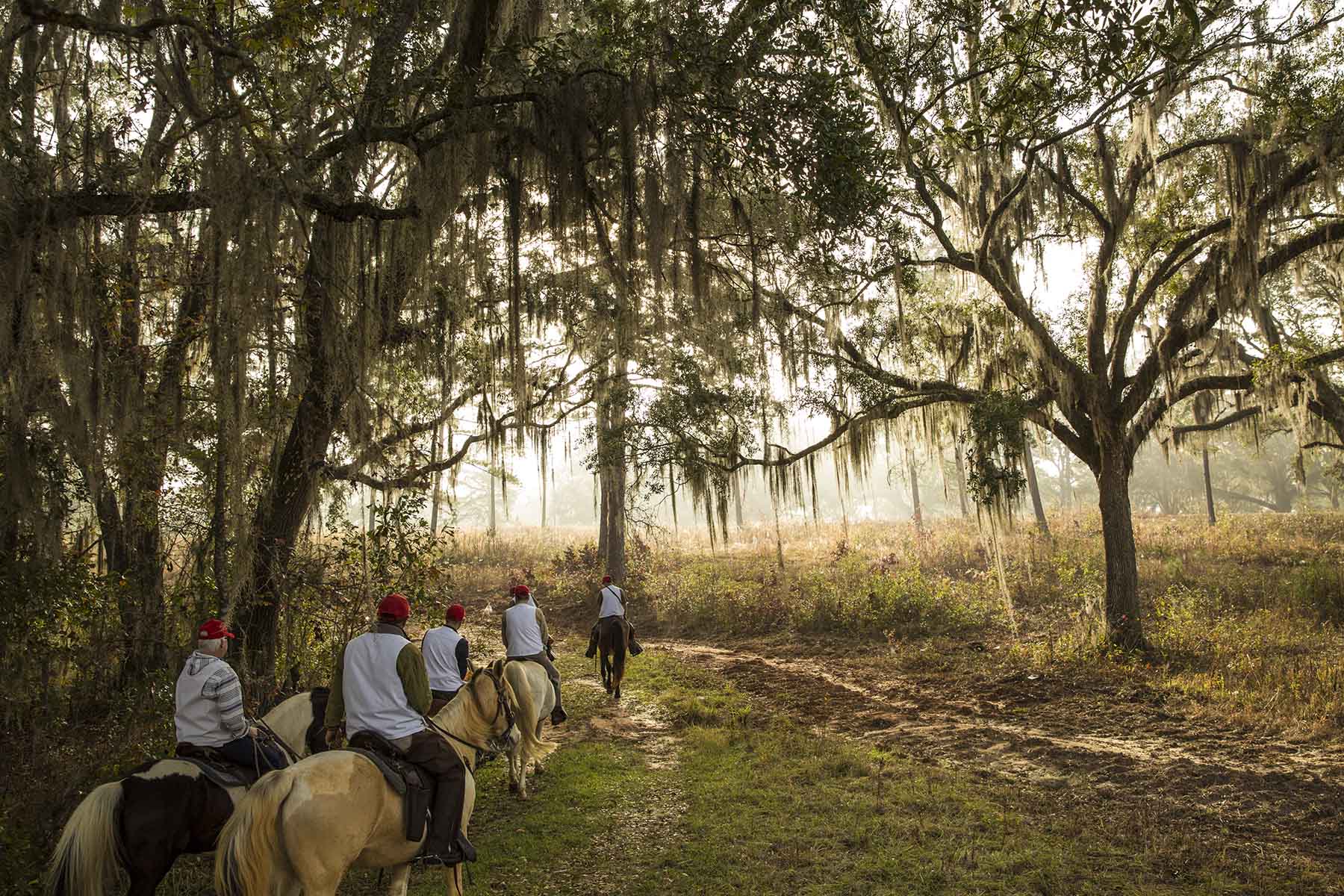 Loveridge Plantation property picture 89 of 107