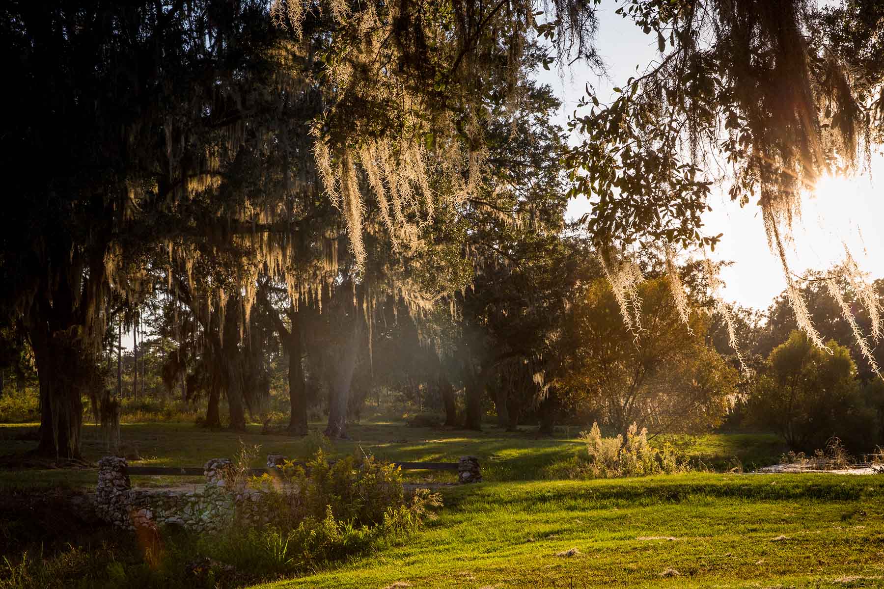 Loveridge Plantation property picture 41 of 107