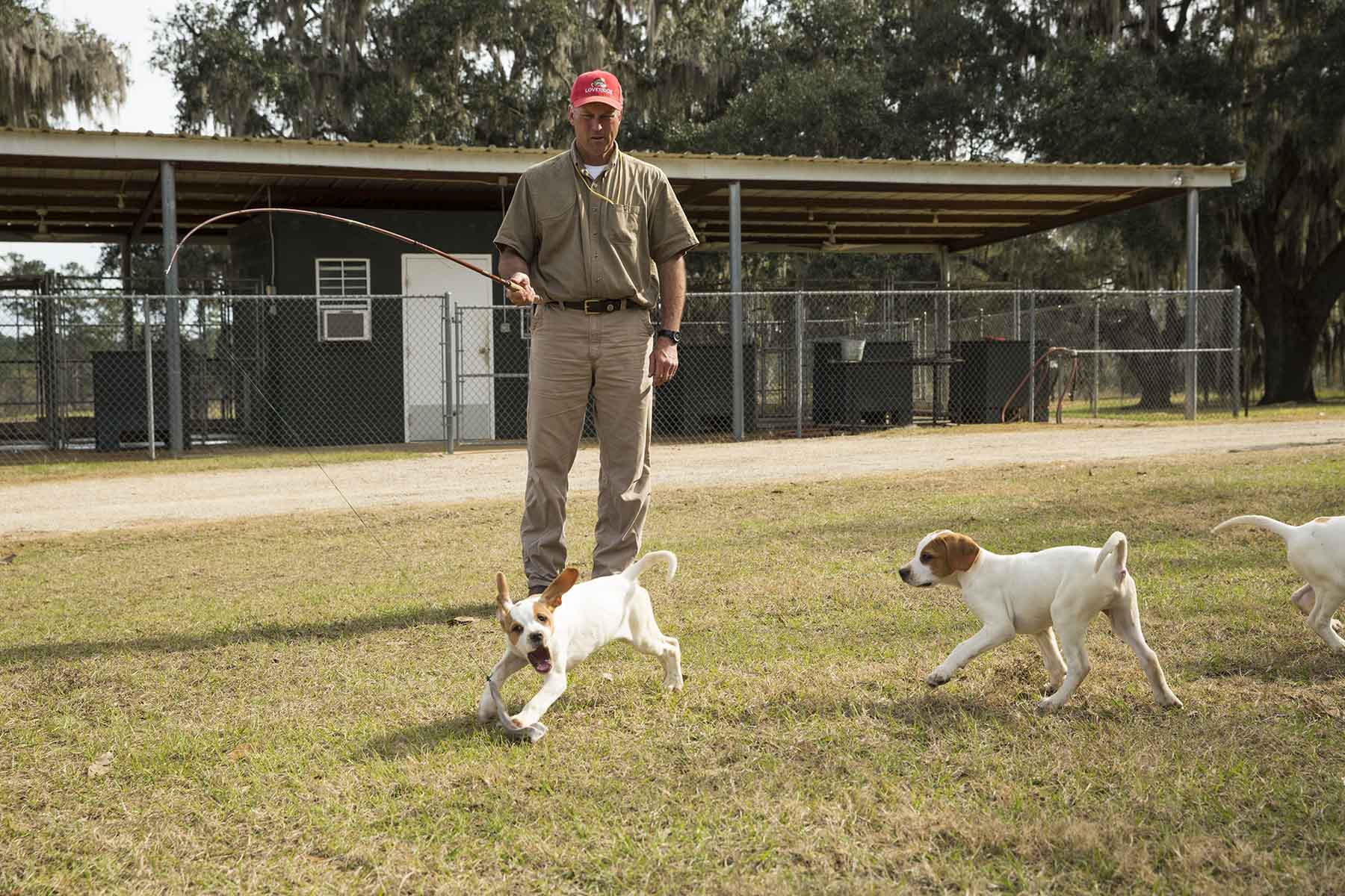 Loveridge Plantation property picture 84 of 107