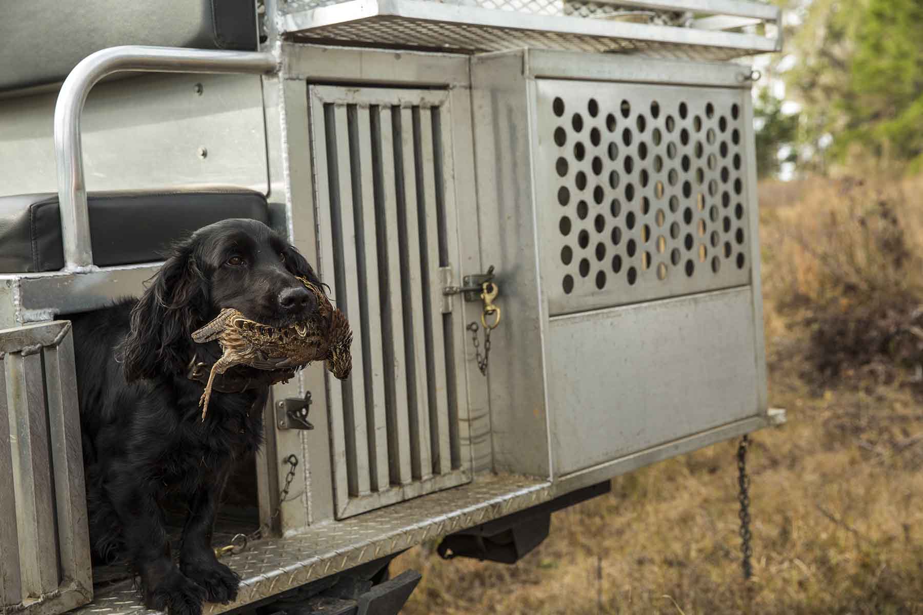 Loveridge Plantation property picture 94 of 107