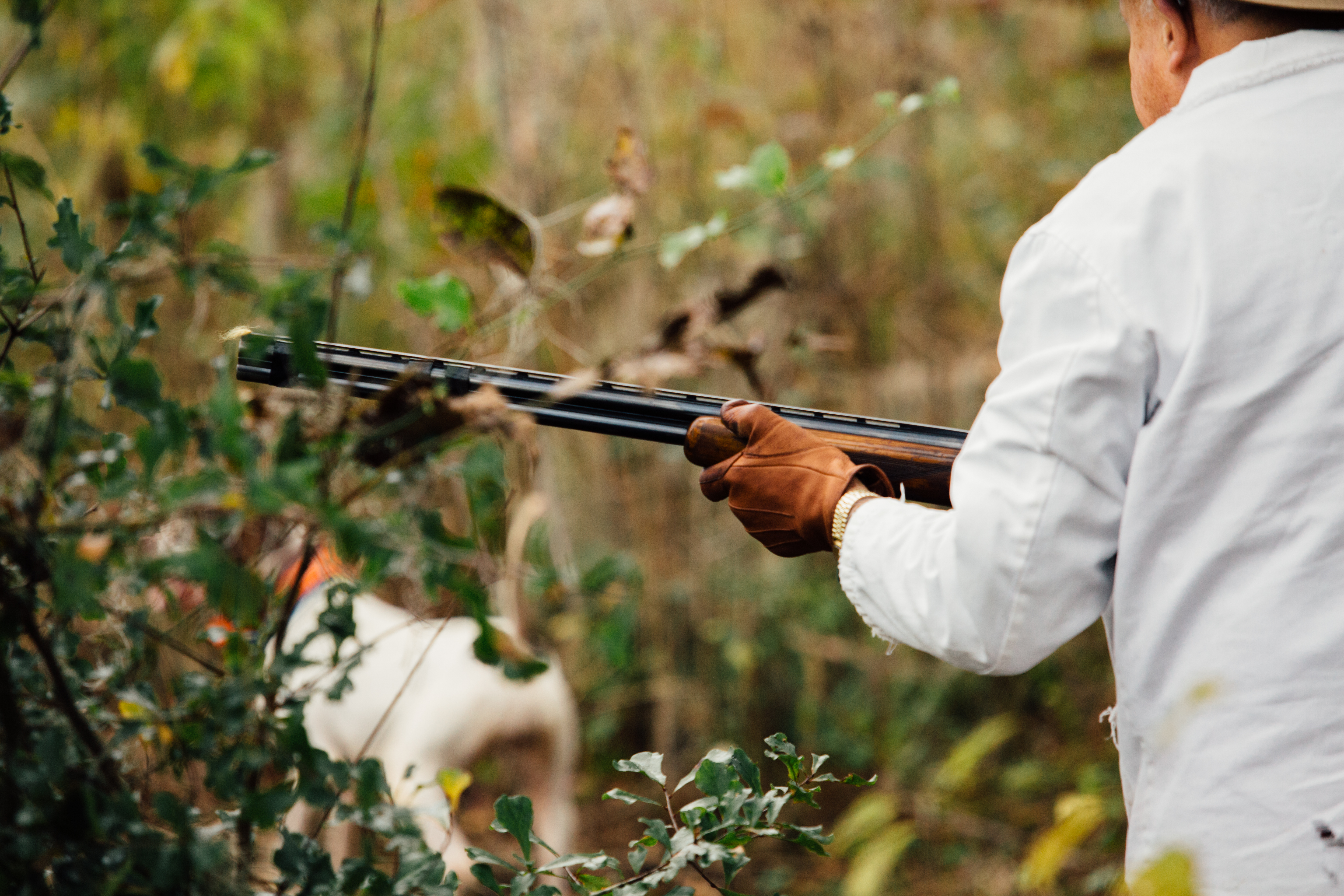 Loveridge Plantation property picture 17 of 107