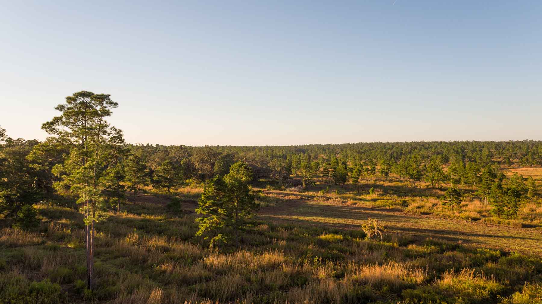 Loveridge Plantation property picture 103 of 107