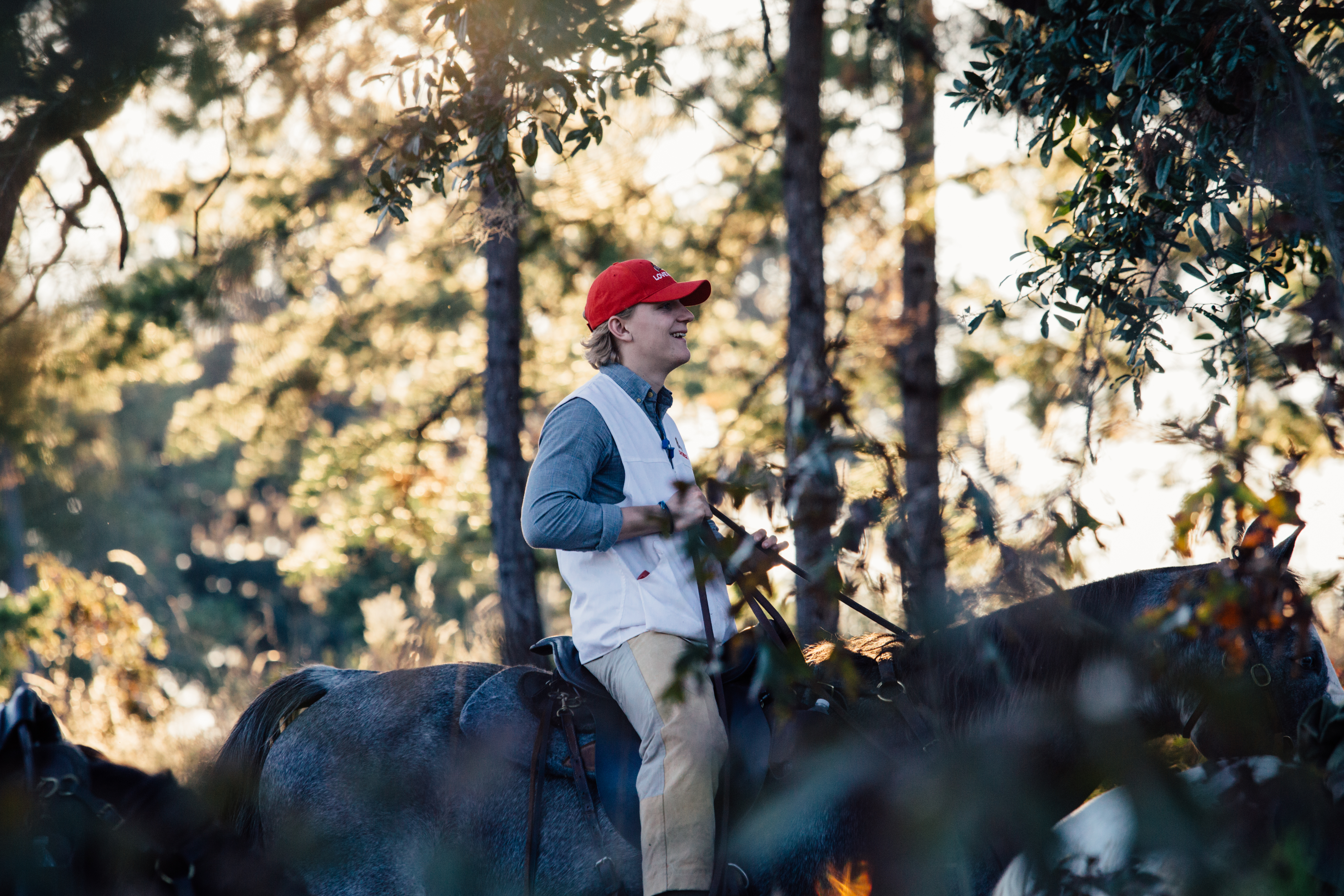 Loveridge Plantation property picture 22 of 107