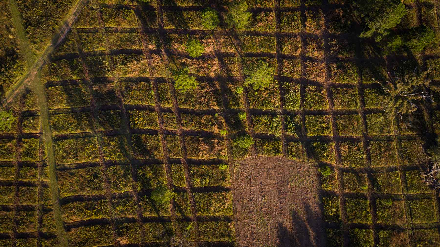 Loveridge Plantation property picture 37 of 107