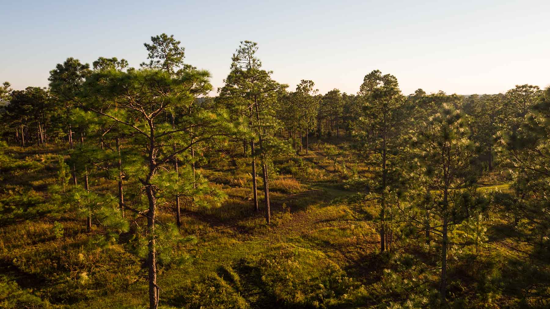 Loveridge Plantation property picture 104 of 107
