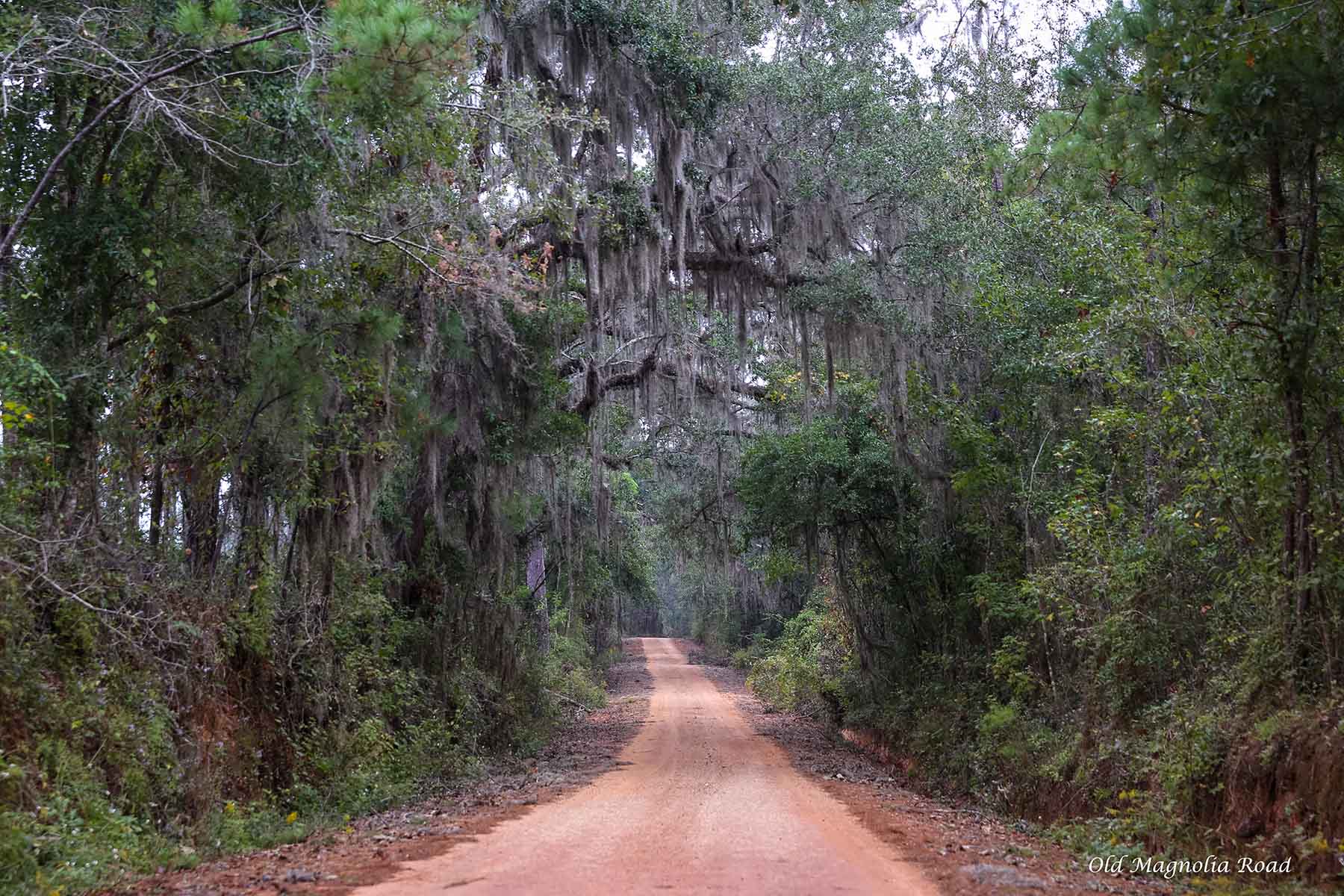 Loveridge Plantation property picture 9 of 107