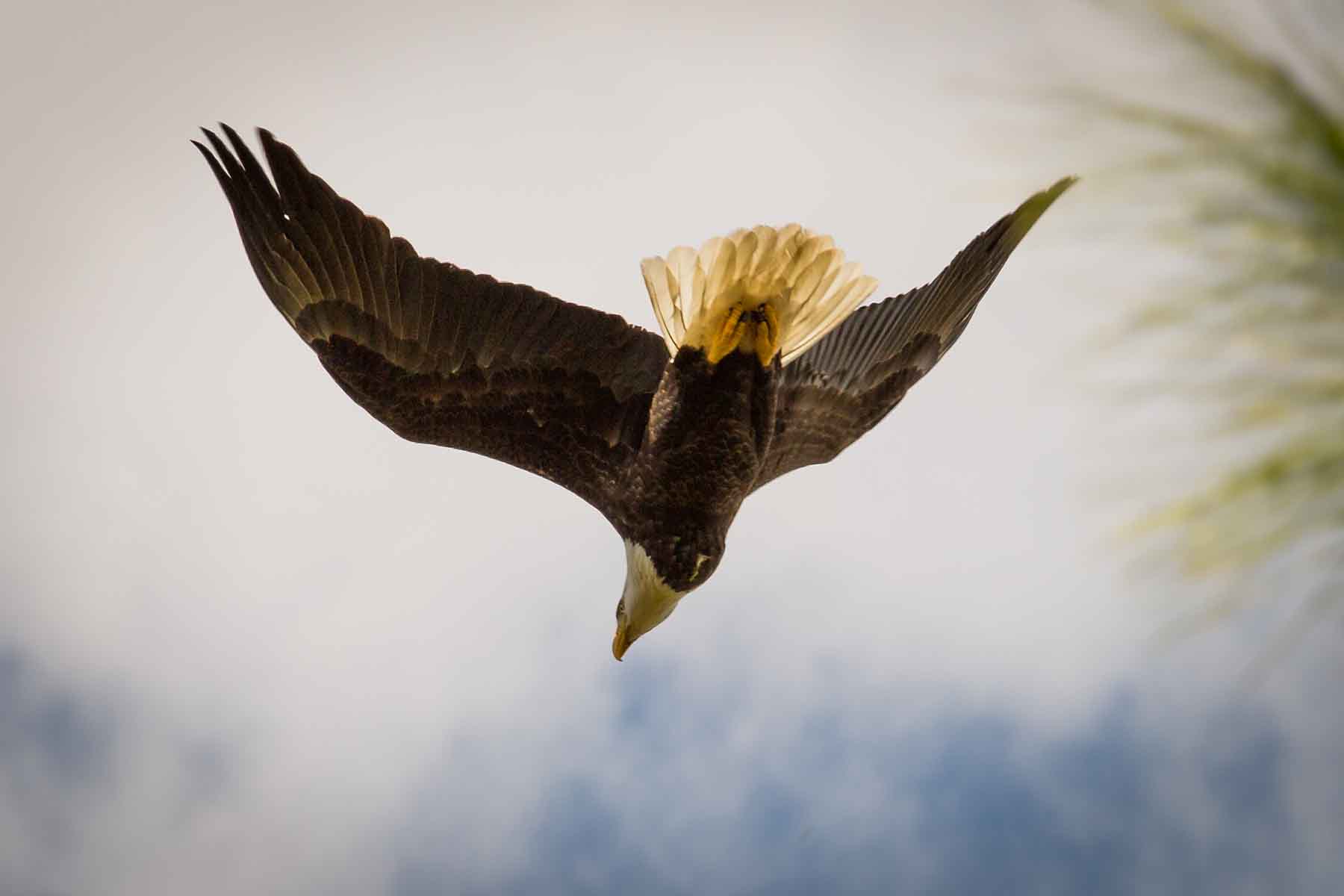 Loveridge Plantation property picture 98 of 107