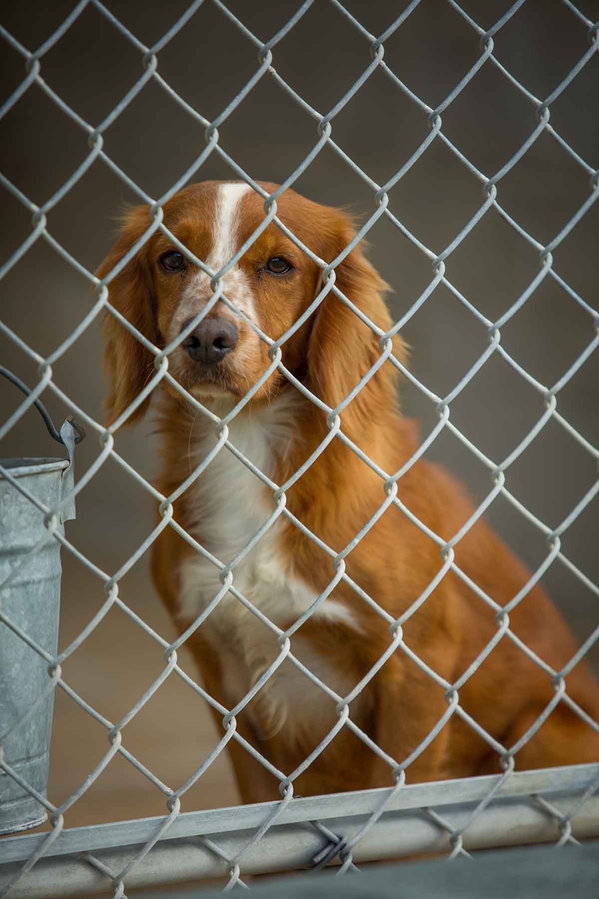 Loveridge Plantation property picture 82 of 107