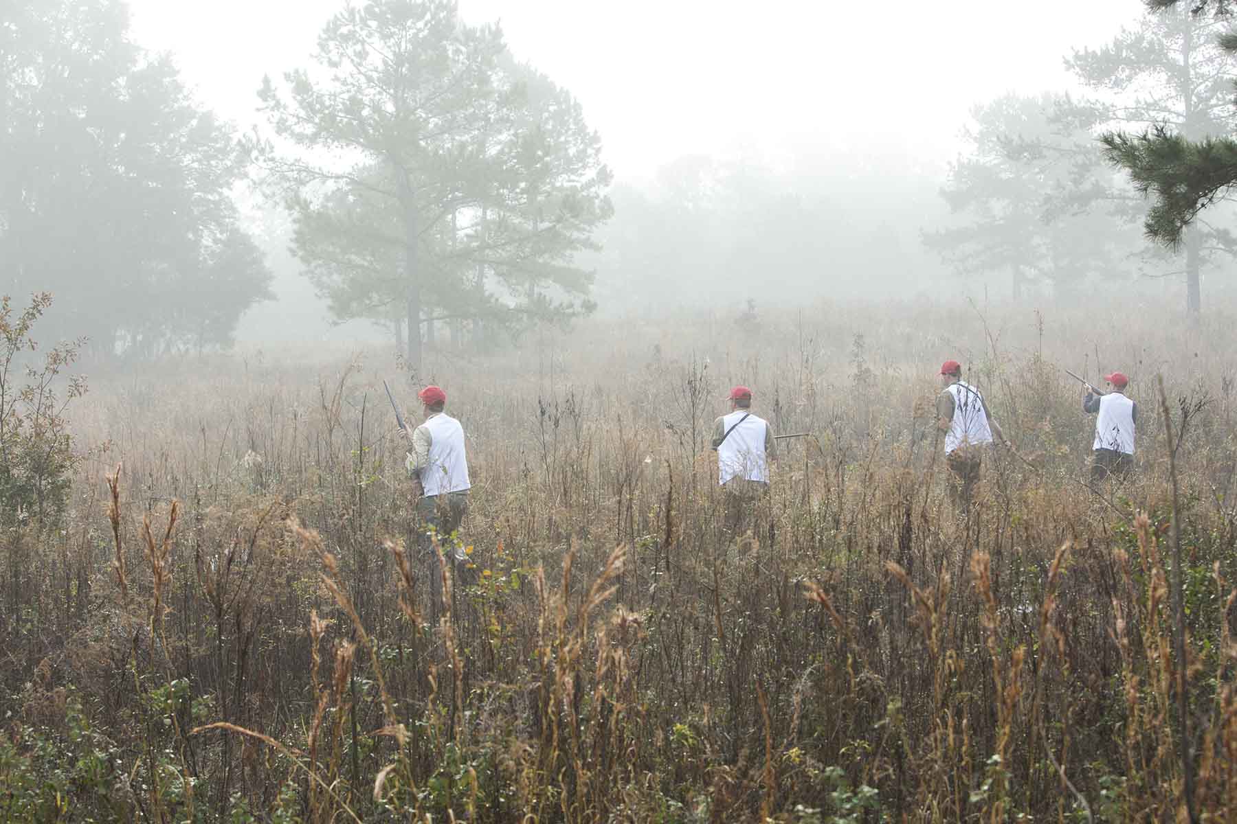 Loveridge Plantation property picture 91 of 107