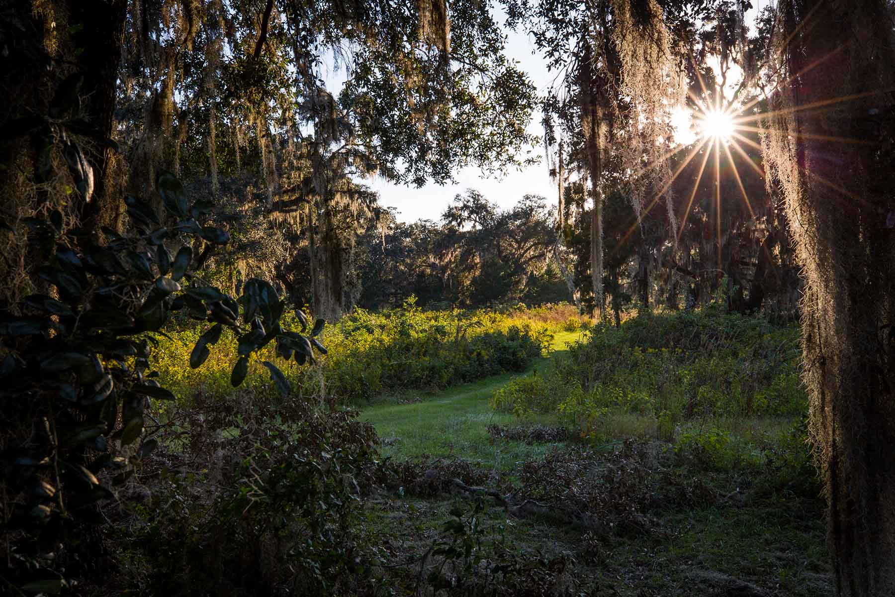 Loveridge Plantation property picture 25 of 107
