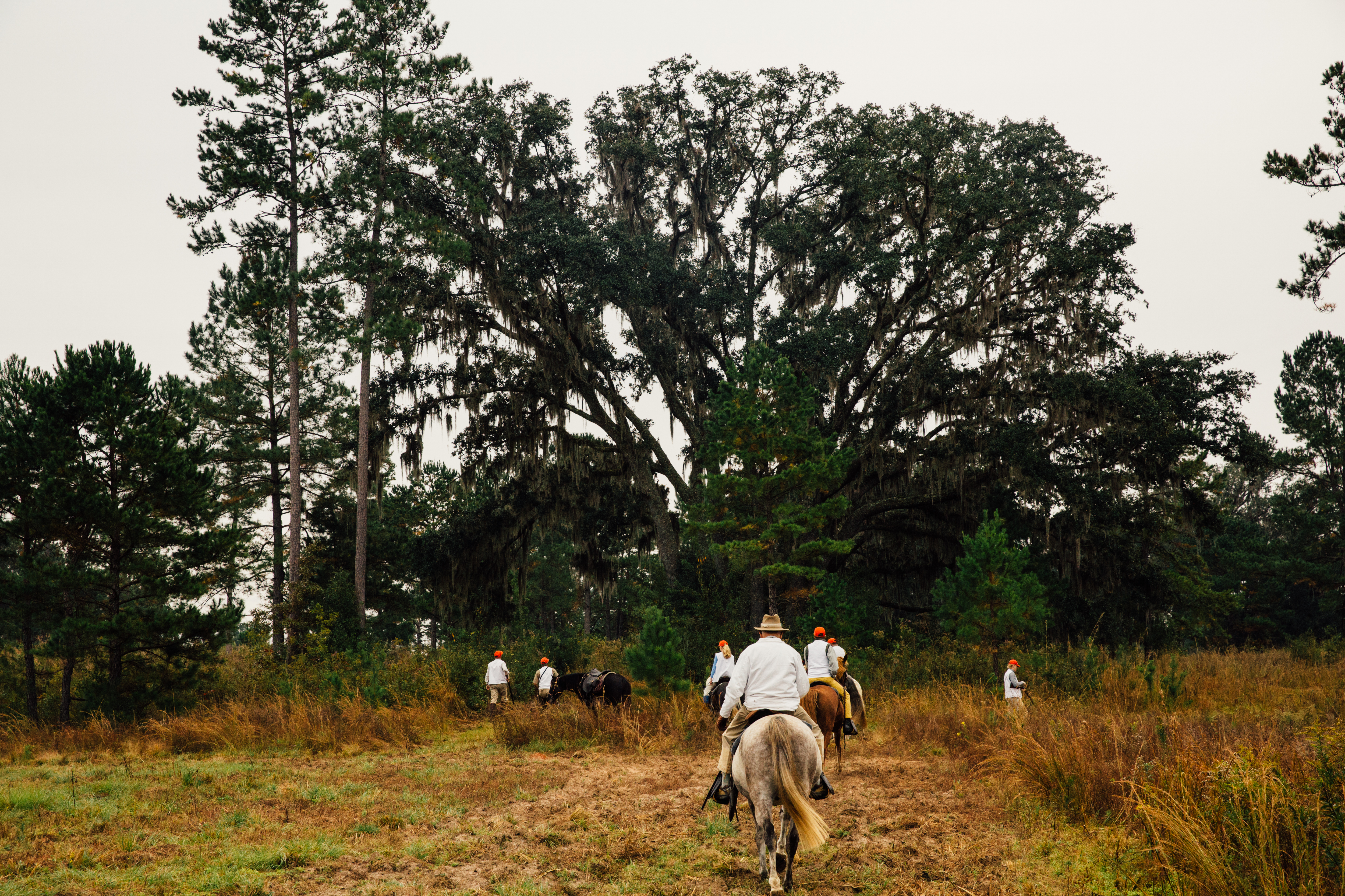 Loveridge Plantation property picture 16 of 107