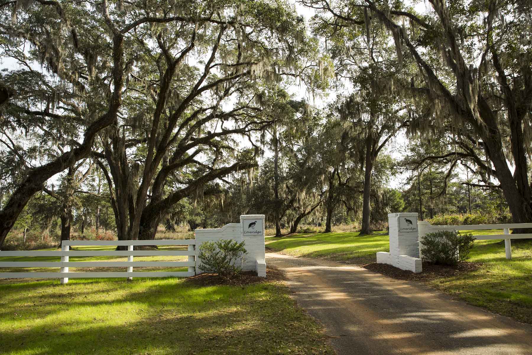 Loveridge Plantation property picture 30 of 107
