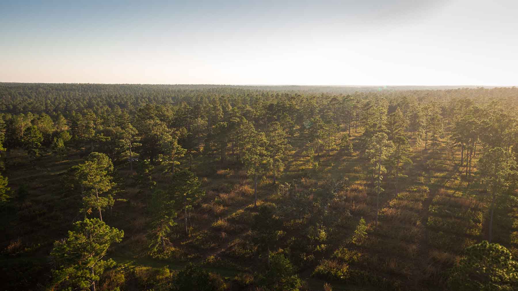 Loveridge Plantation property picture 27 of 107