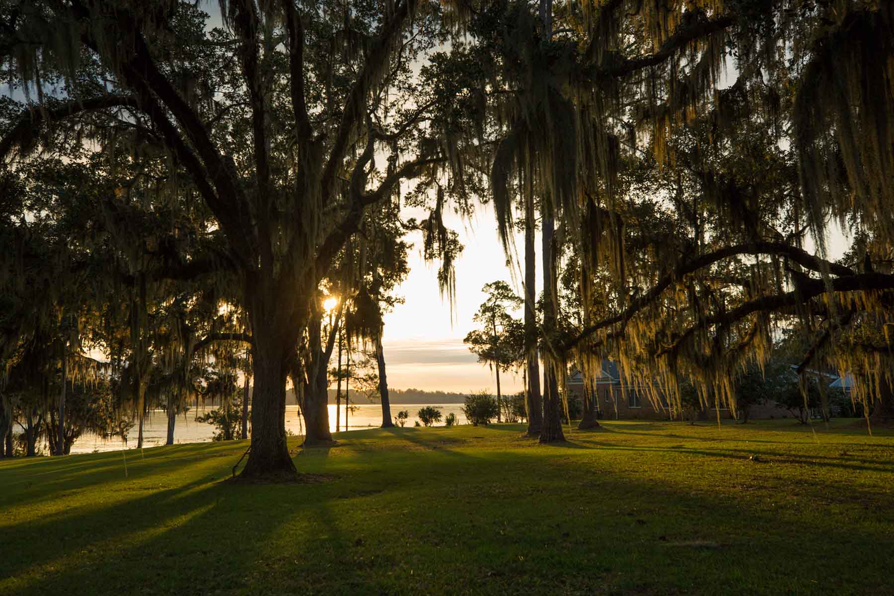 Loveridge Plantation property picture 2 of 107