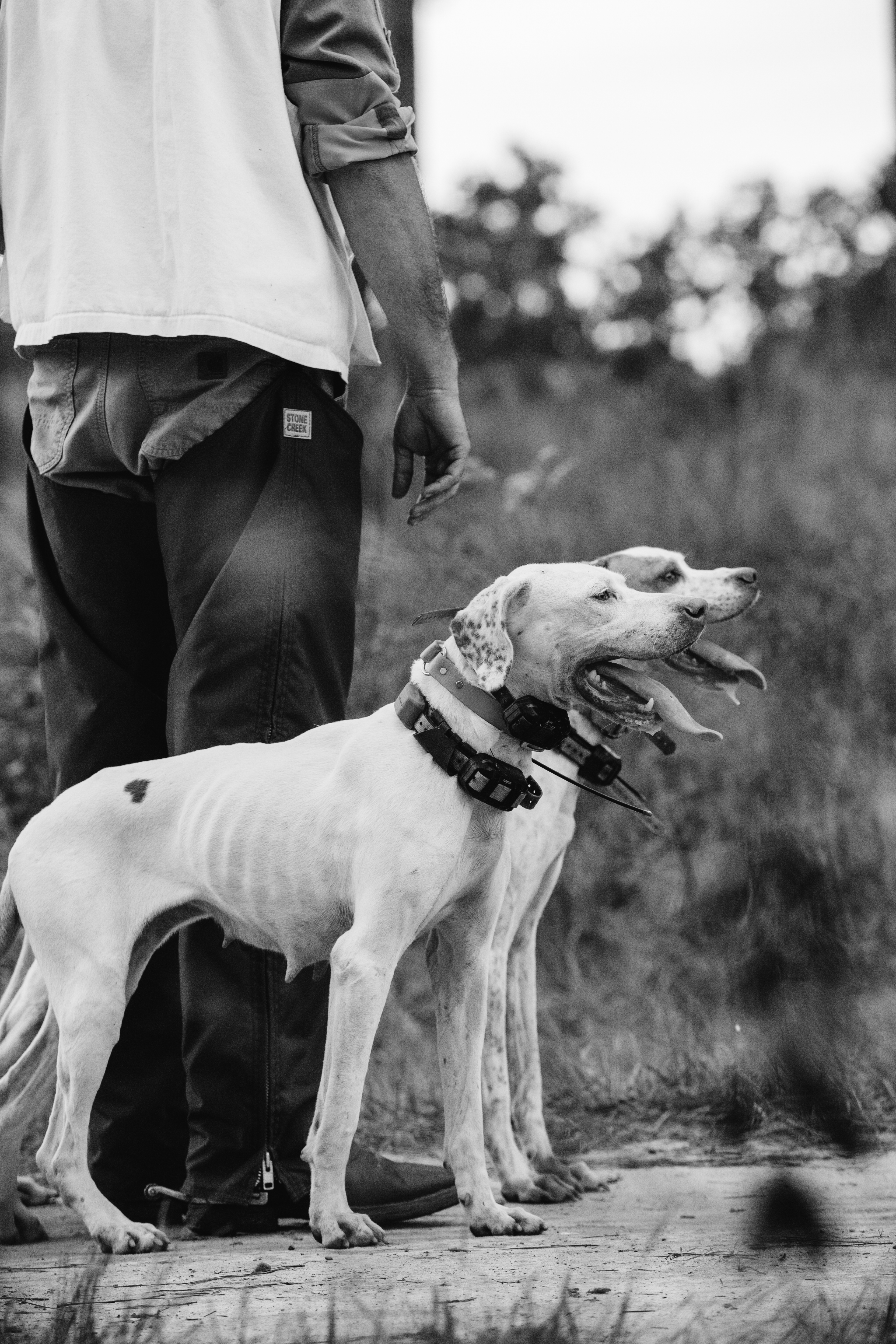 Loveridge Plantation property picture 13 of 107